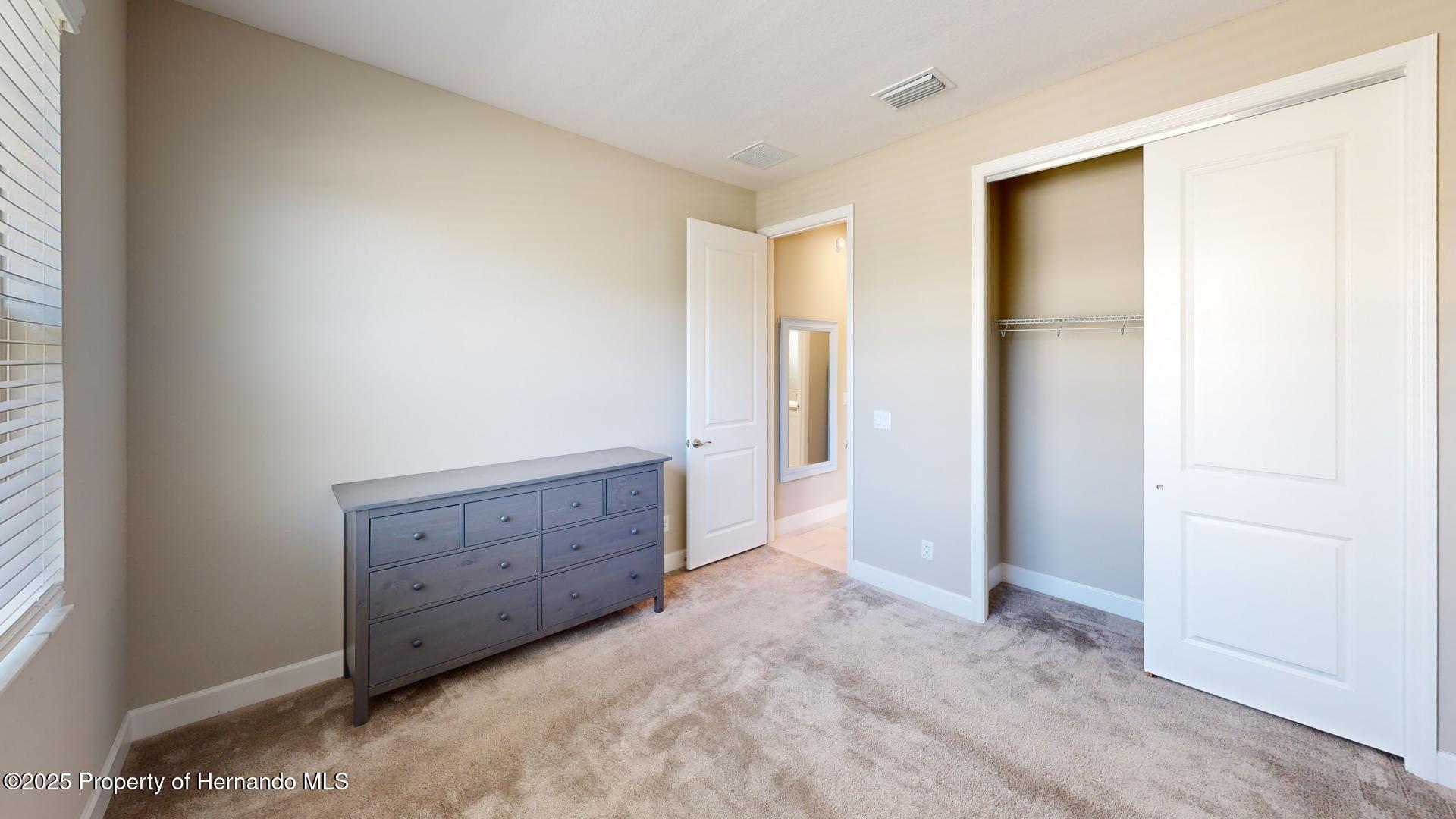 3060 Mountain Spruce Terrace, Wesley Chapel, Florida image 21