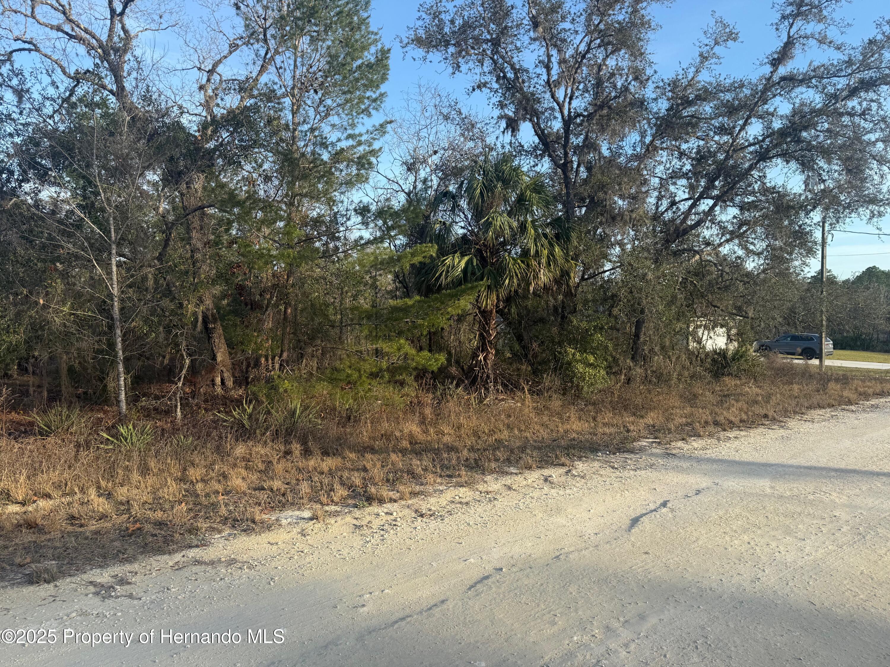 Courlan Road, Brooksville, Florida image 16