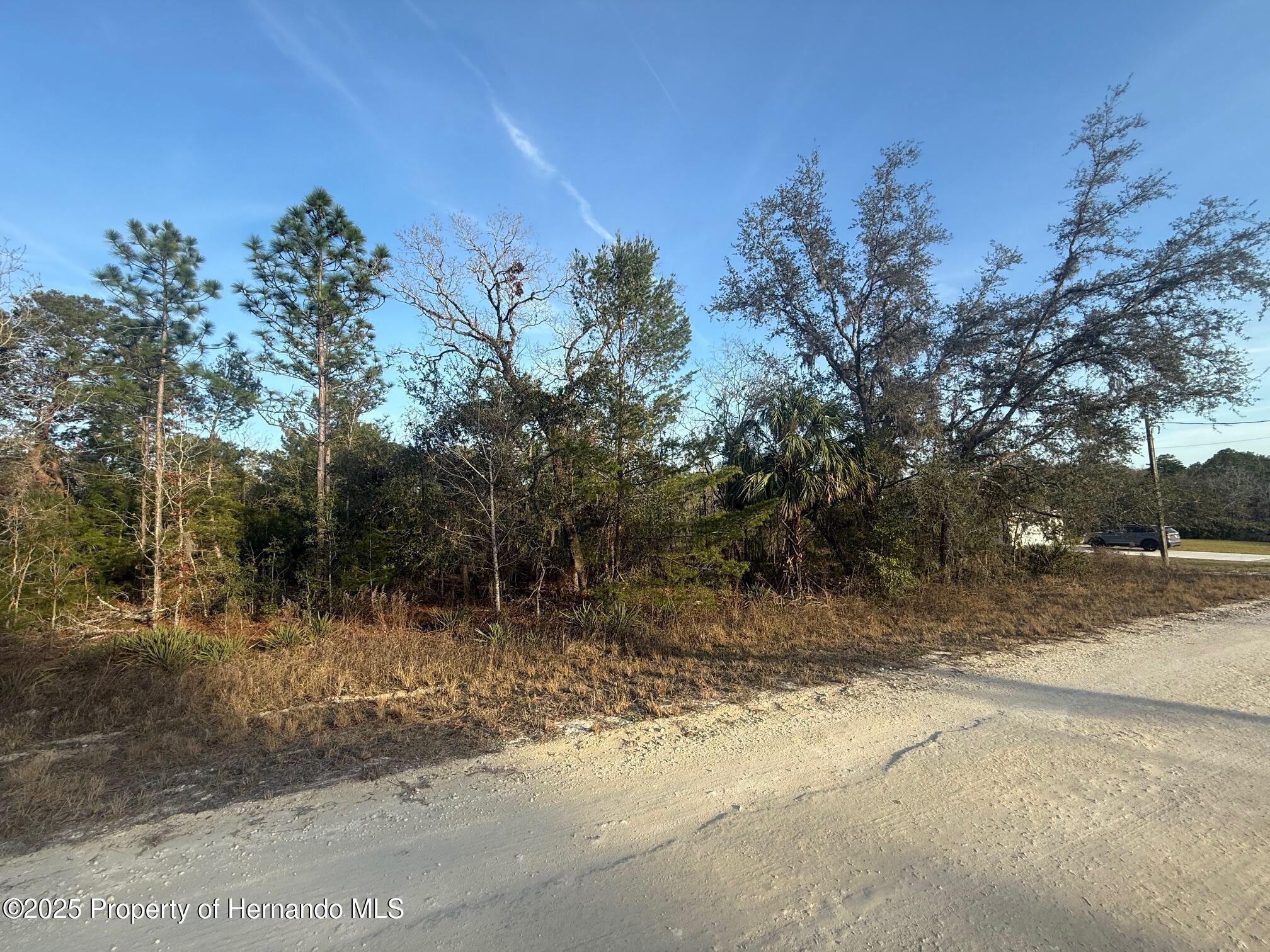 Courlan Road, Brooksville, Florida image 12