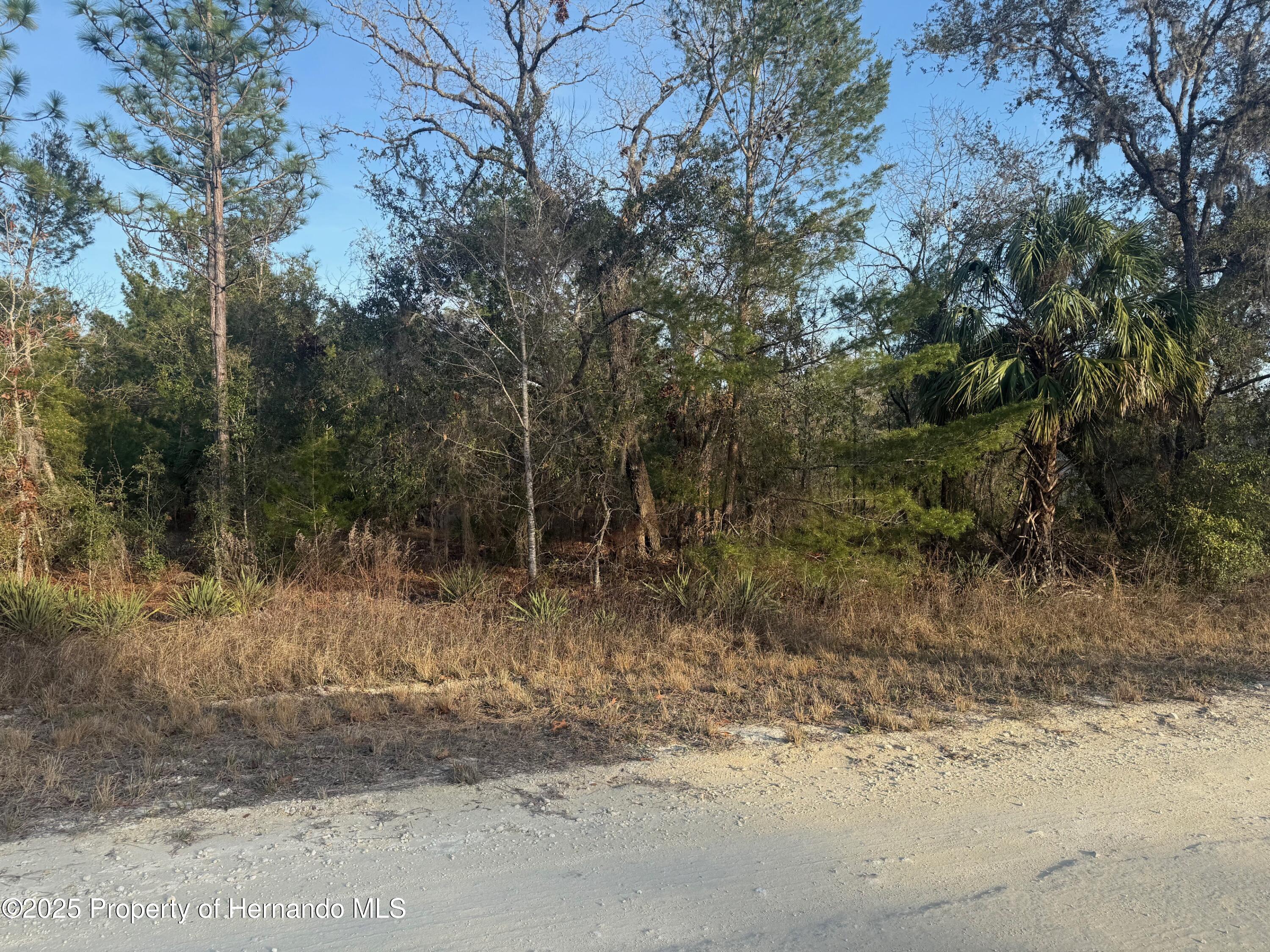 Courlan Road, Brooksville, Florida image 2