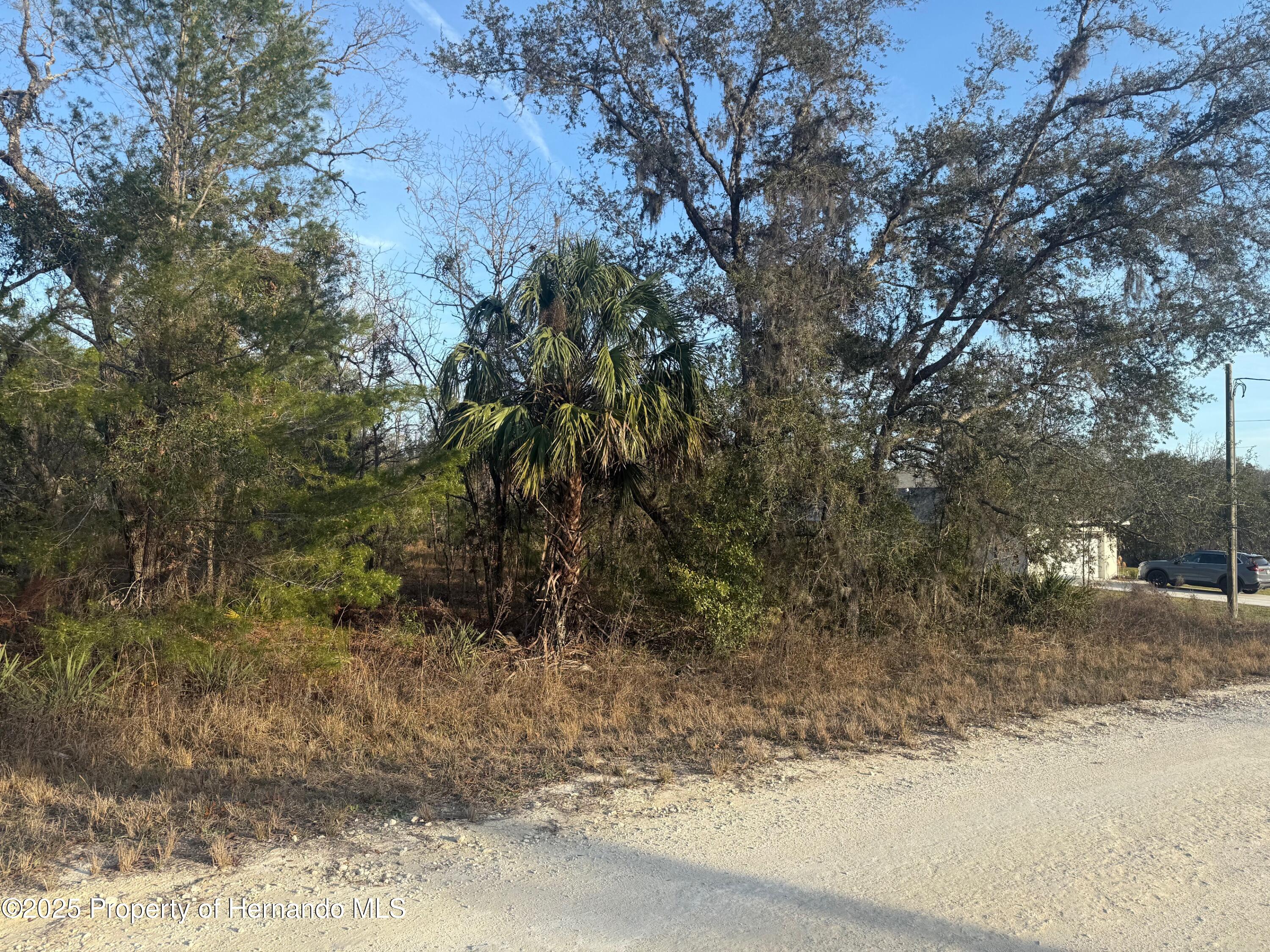 Courlan Road, Brooksville, Florida image 18