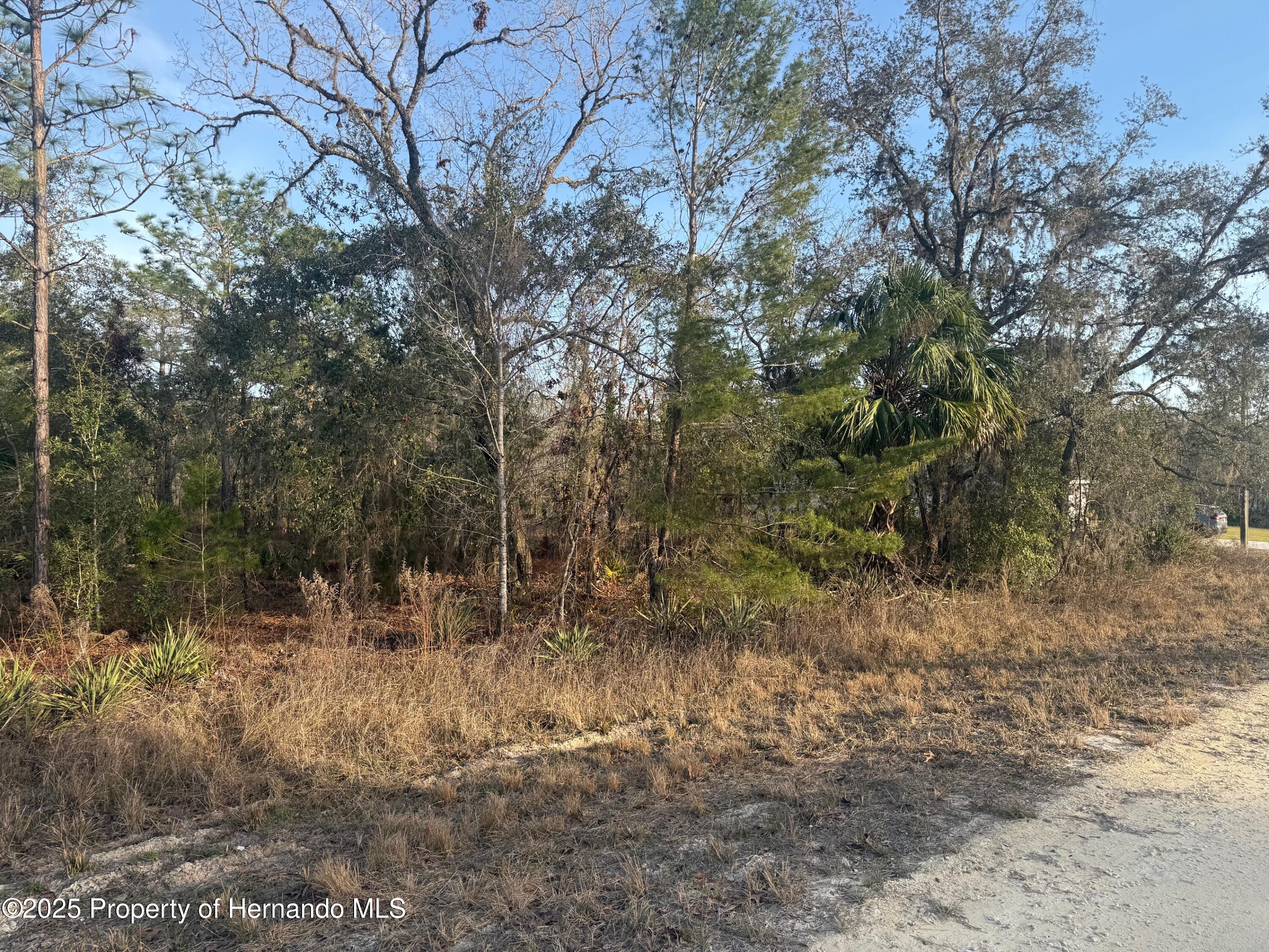 Courlan Road, Brooksville, Florida image 13