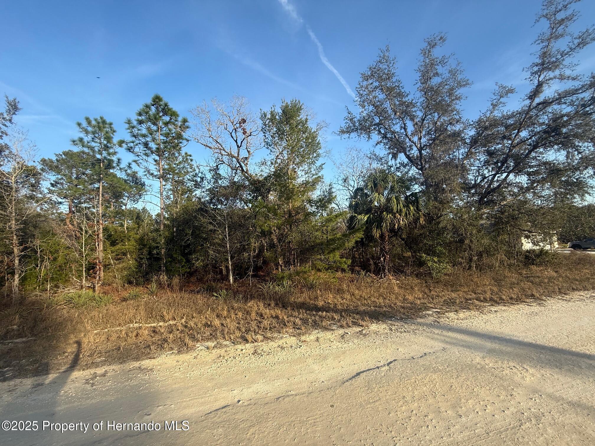 Courlan Road, Brooksville, Florida image 1