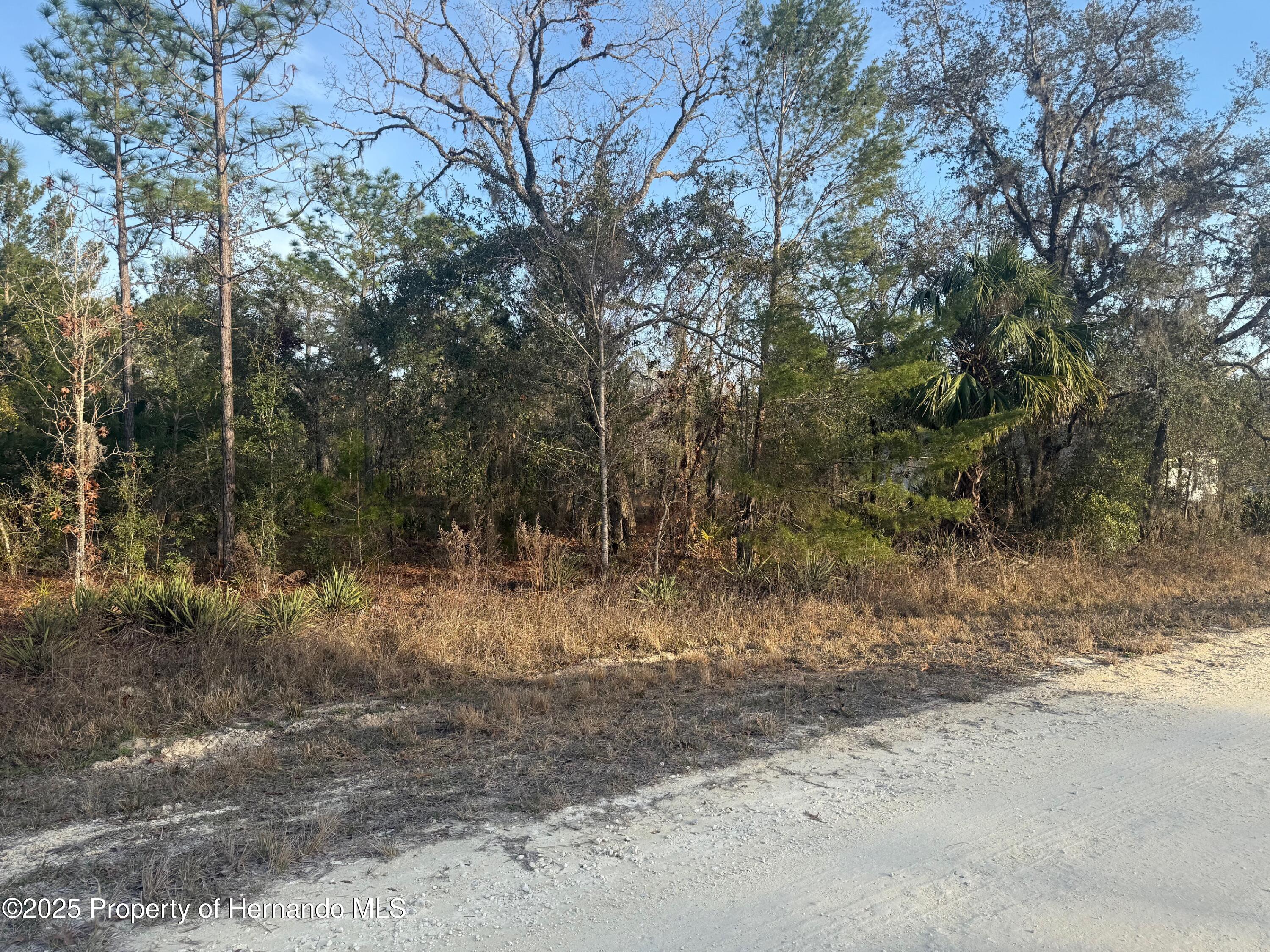 Courlan Road, Brooksville, Florida image 15