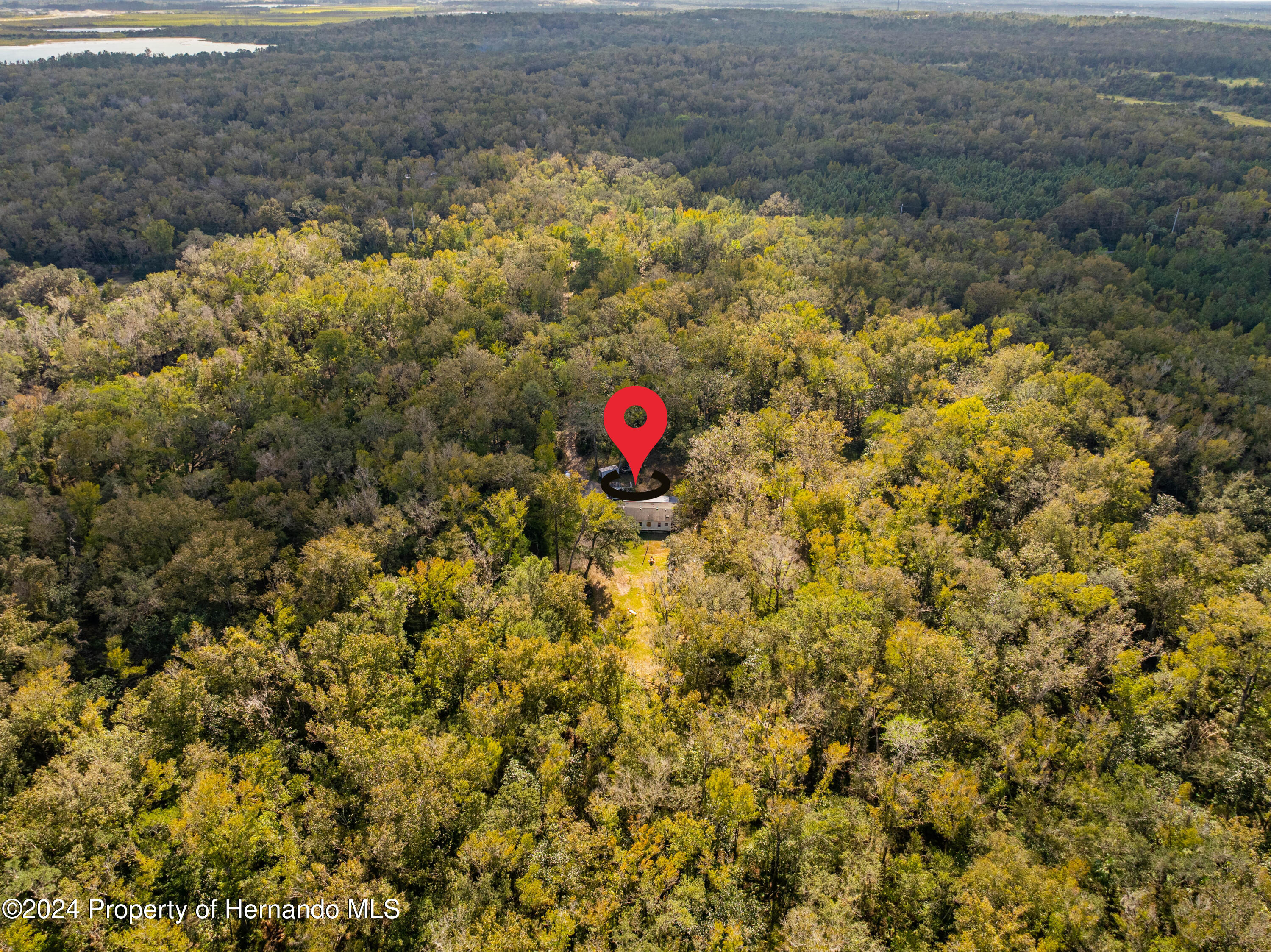 16109 Buczak Road, Brooksville, Florida image 6