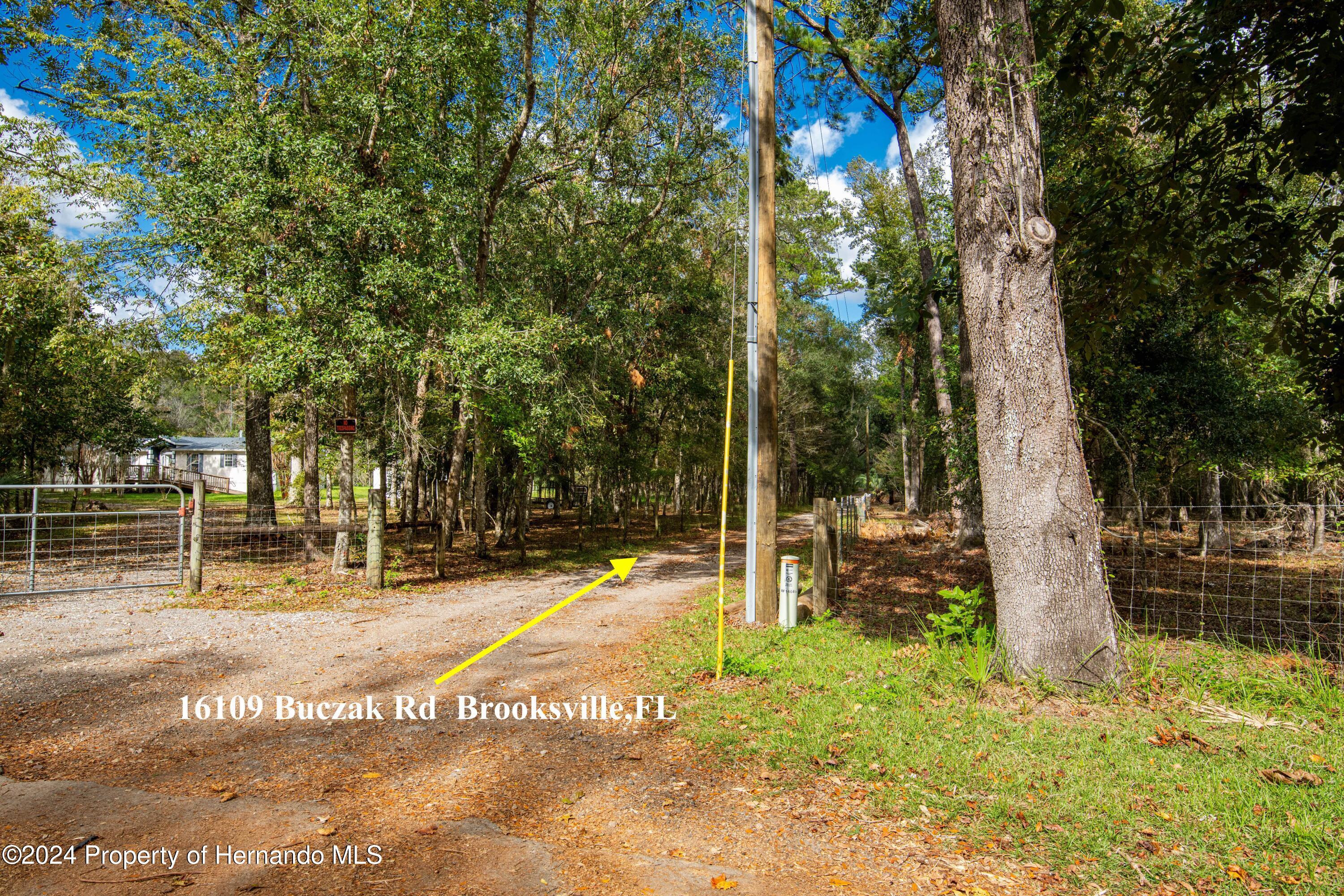 16109 Buczak Road, Brooksville, Florida image 9