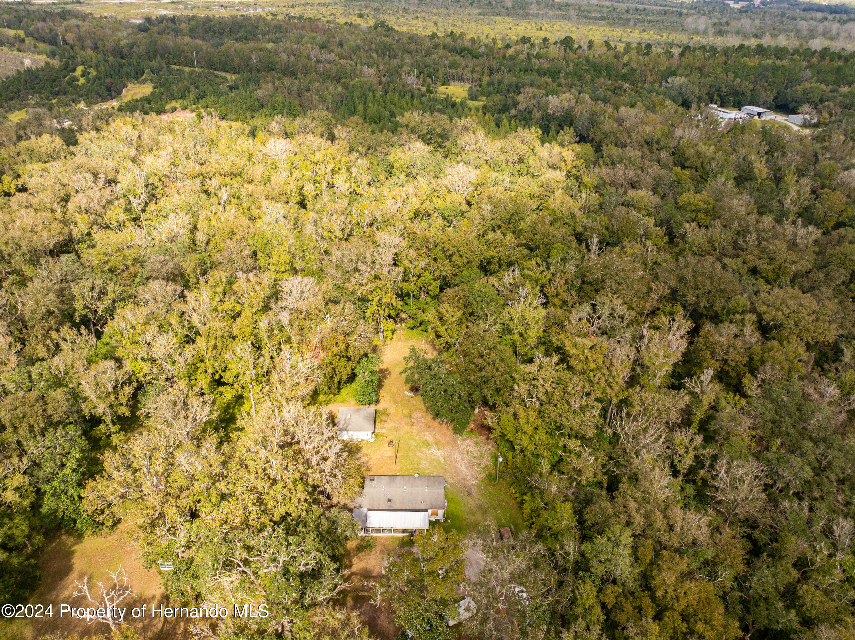 16109 Buczak Road, Brooksville, Florida image 2