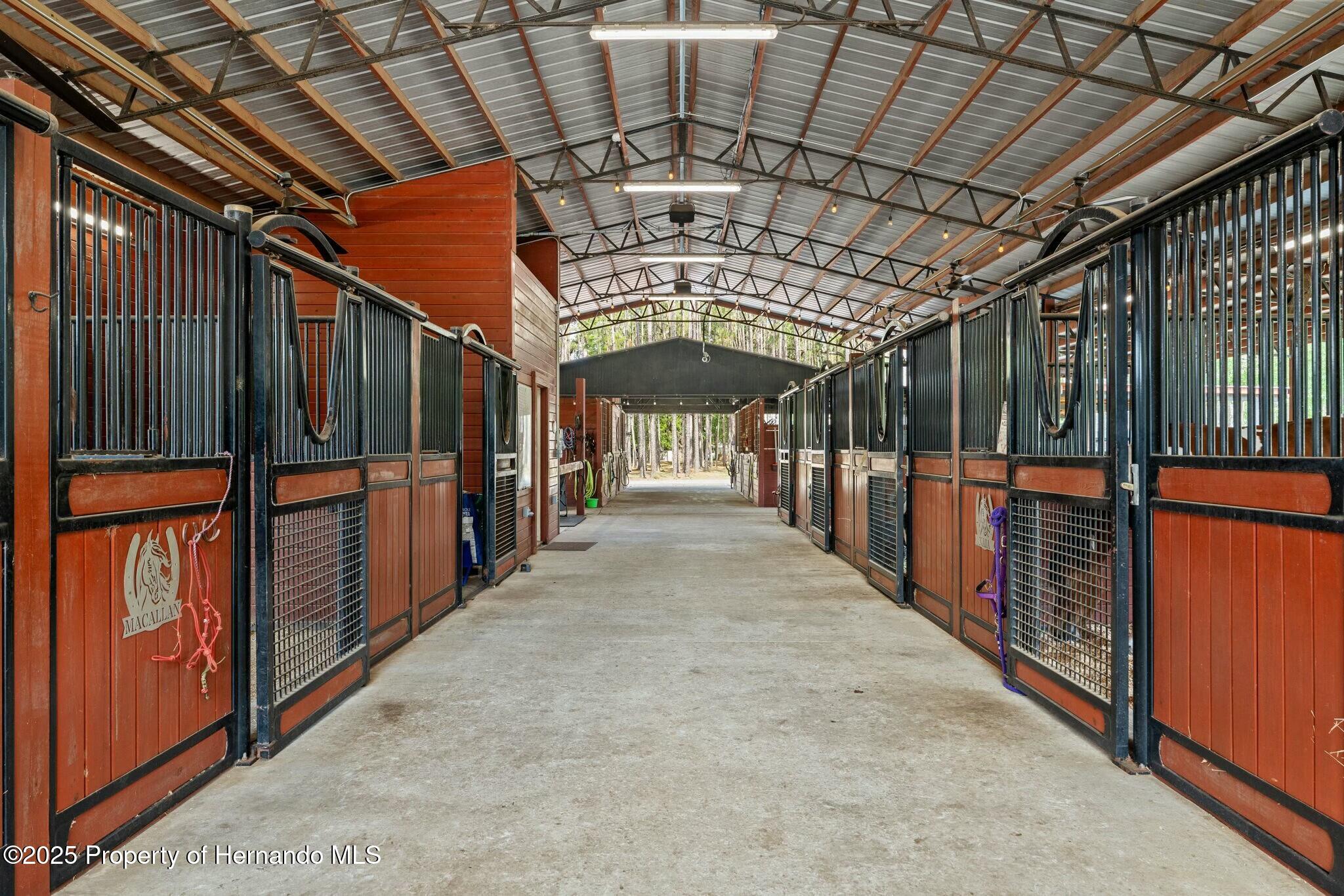 3431 Saturn Road, Brooksville, Florida image 6