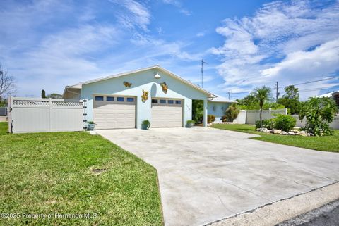 Homes For Sale - 4266 Deleon Drive<br/> HERNANDO BEACH, FL 34607