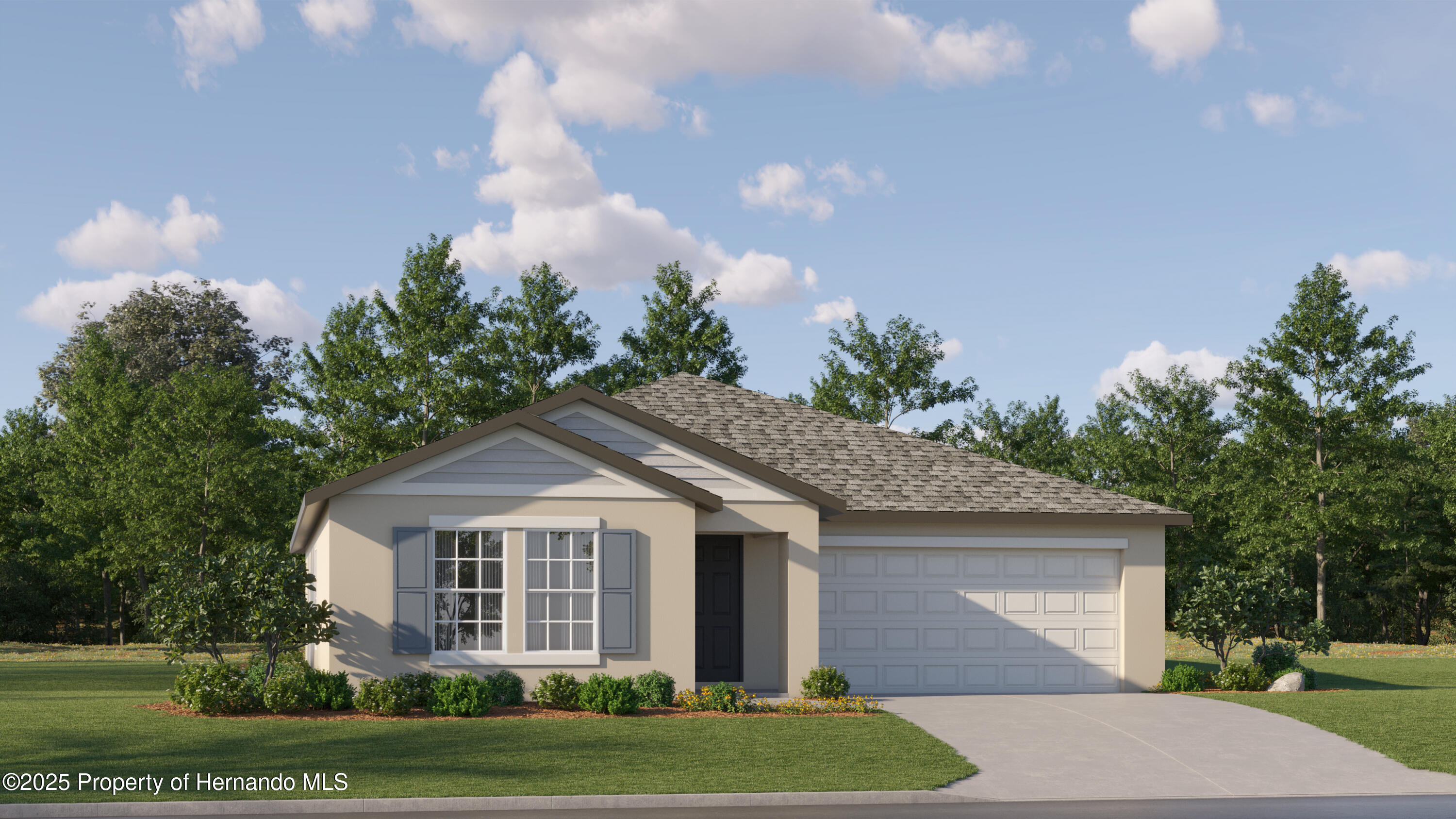10301 Gentle Rain Drive, LAND O LAKES, Florida image 2