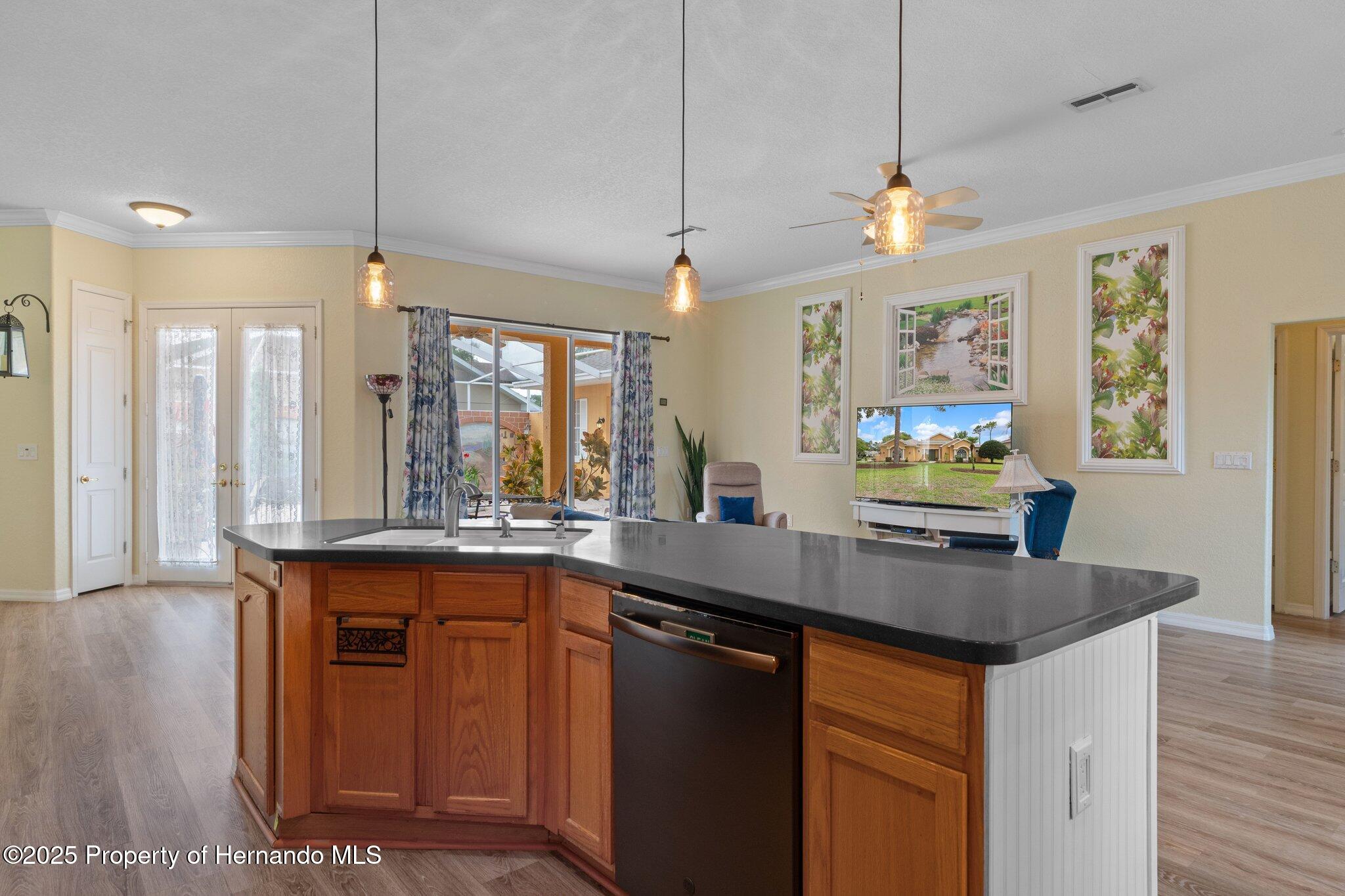 5110 Championship Cup Lane, Spring Hill, Florida image 17