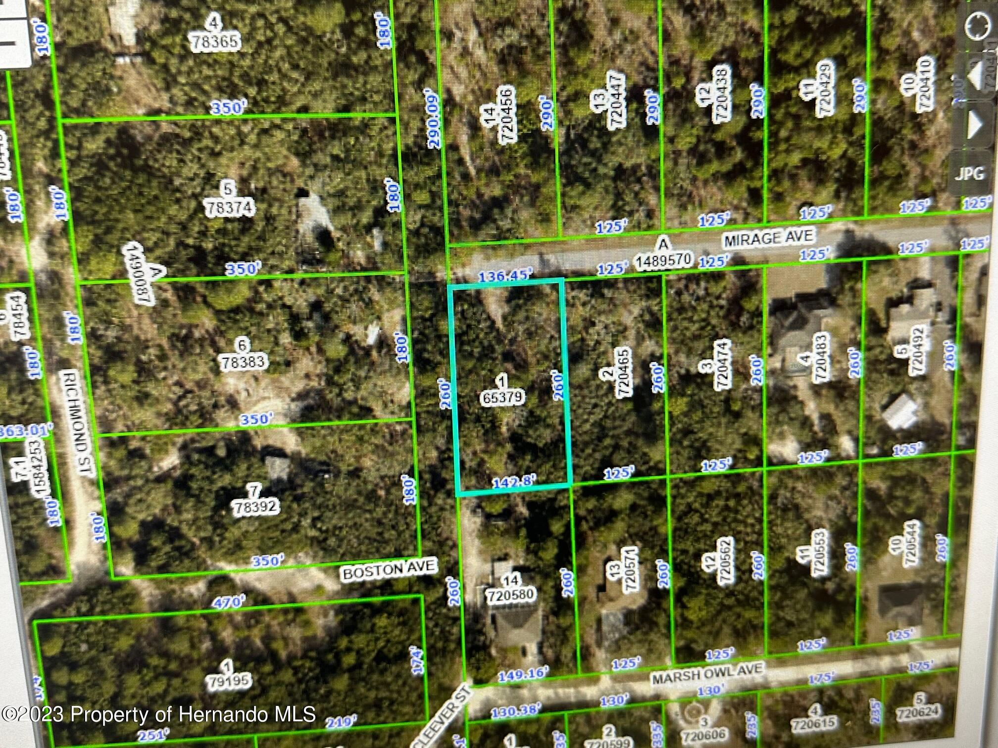 Mirage Avenue, Brooksville, Florida image 1