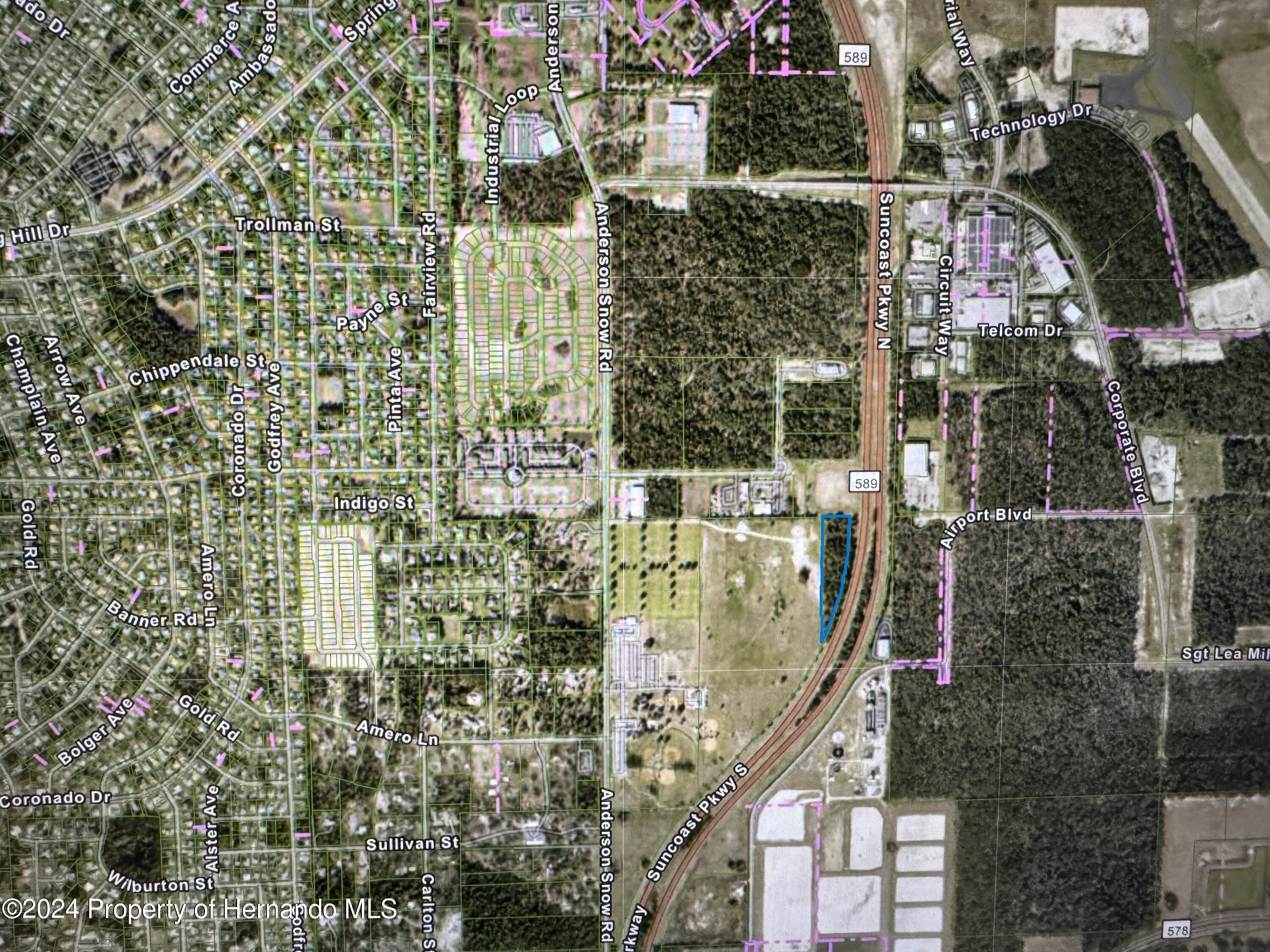 Anderson Snow Road, Spring Hill, Florida image 1