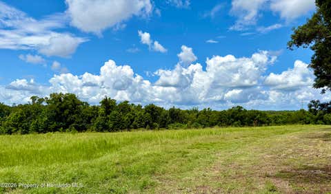 Vacant Land For Sale - Old Spring Lake Road<br/> Brooksville, FL 34601