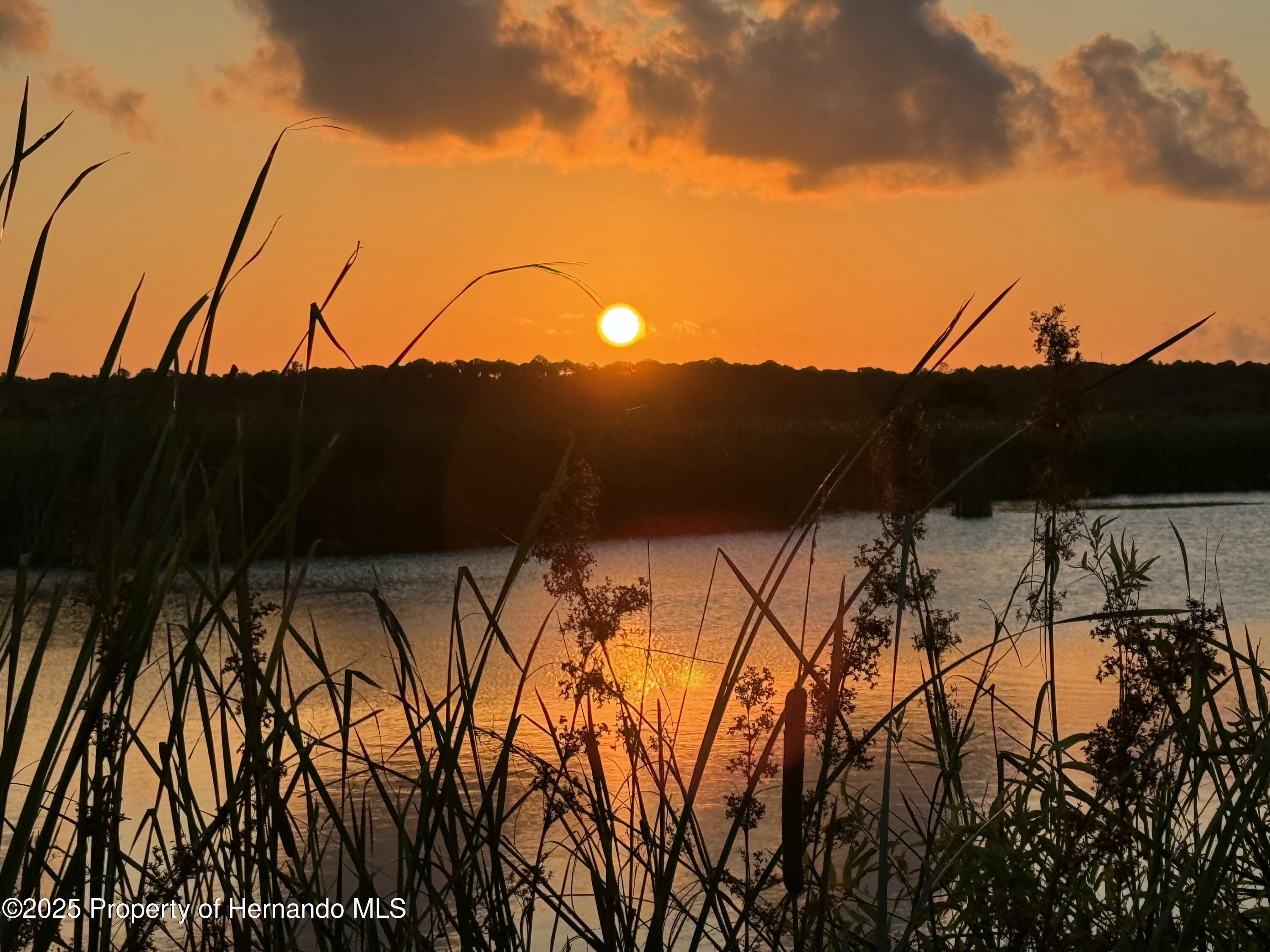 Lot 1 Flexer Drive, HERNANDO BEACH, Florida image 8