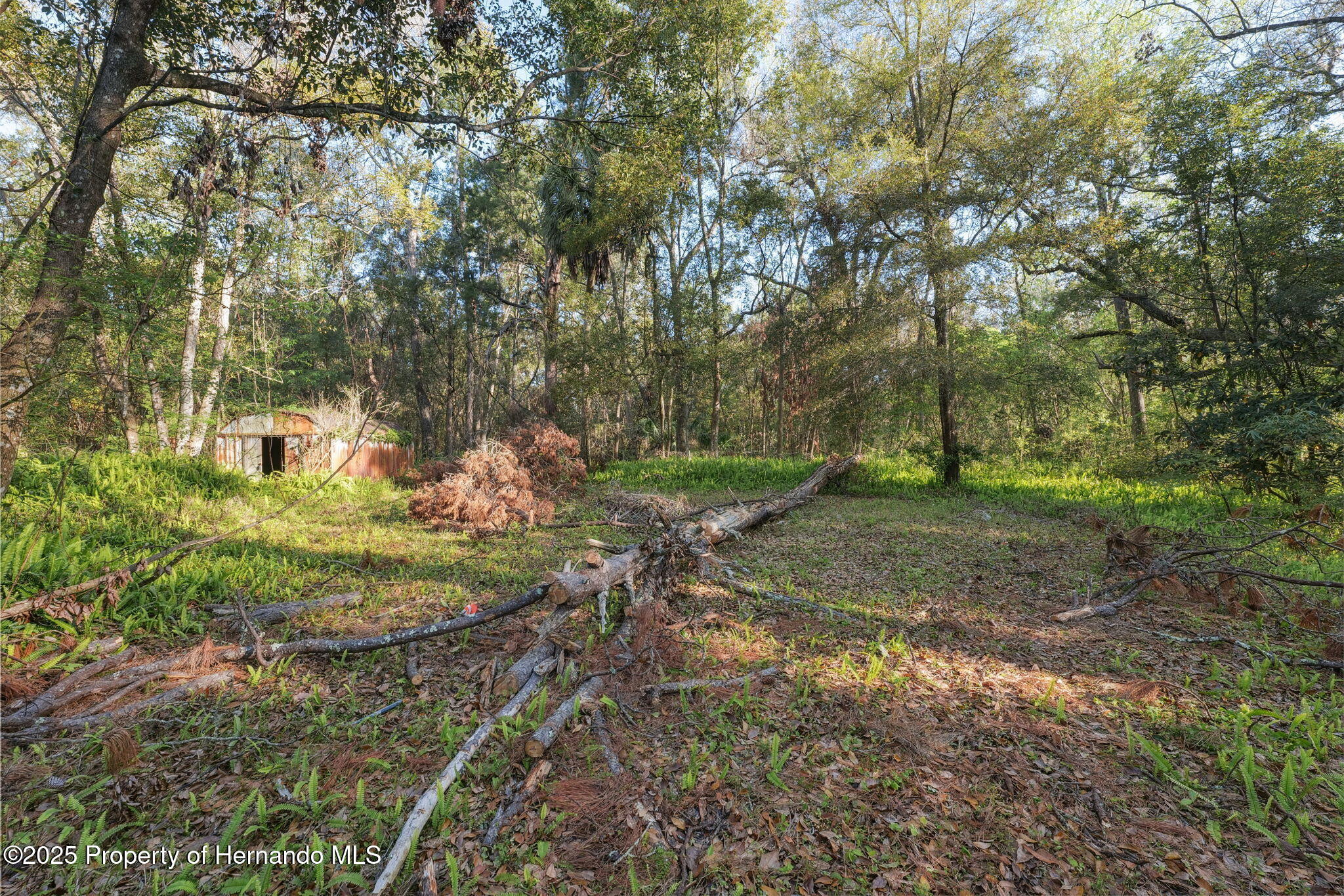 18399 Shady Side Drive, Brooksville, Florida image 17
