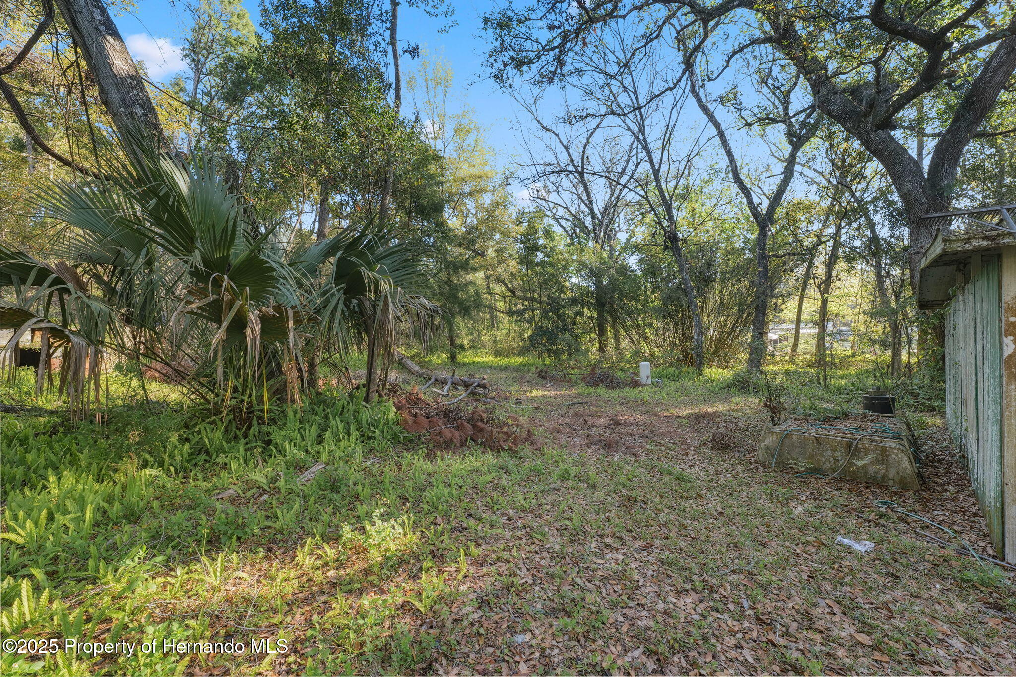 18399 Shady Side Drive, Brooksville, Florida image 18