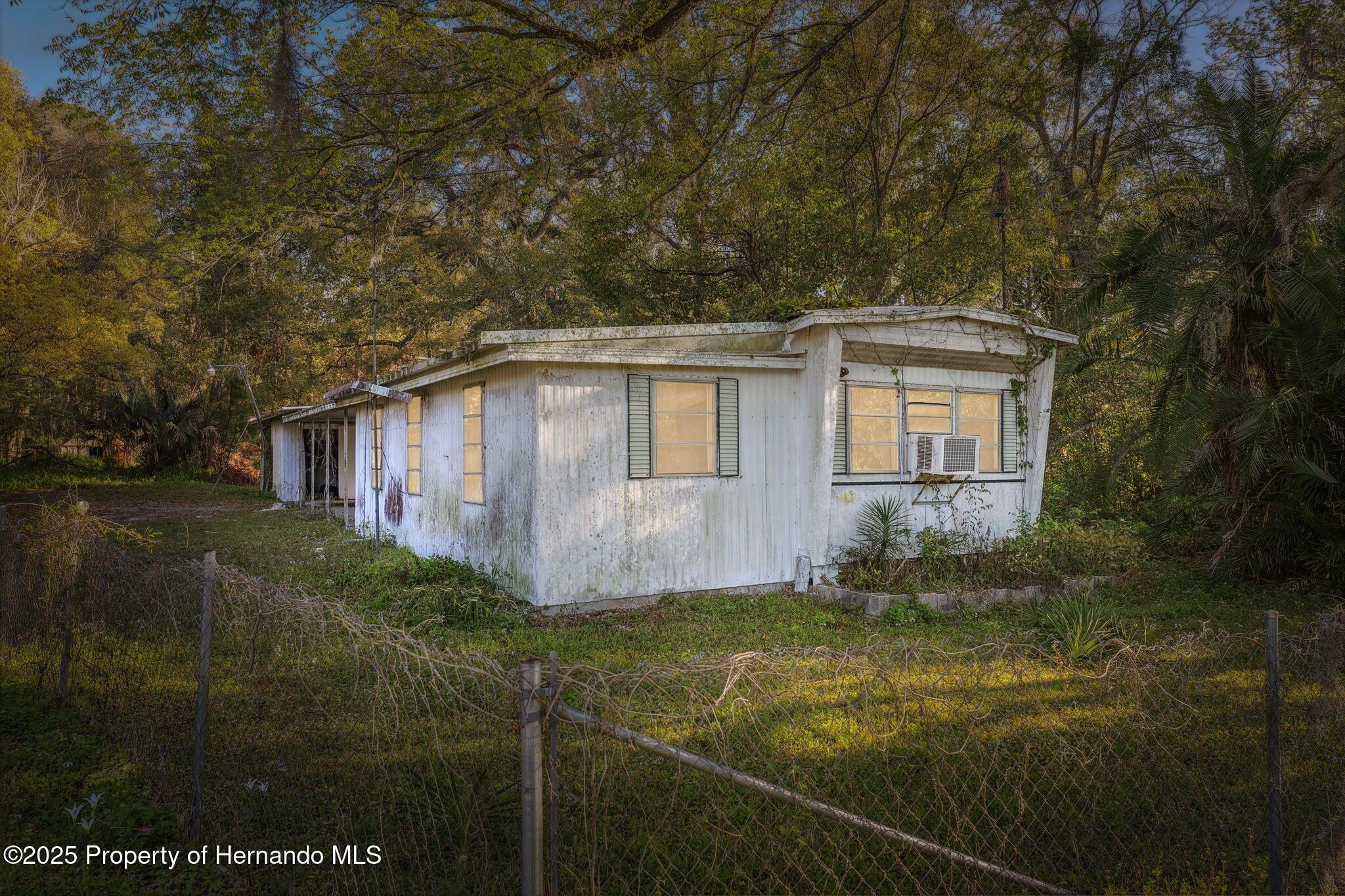 18399 Shady Side Drive, Brooksville, Florida image 1