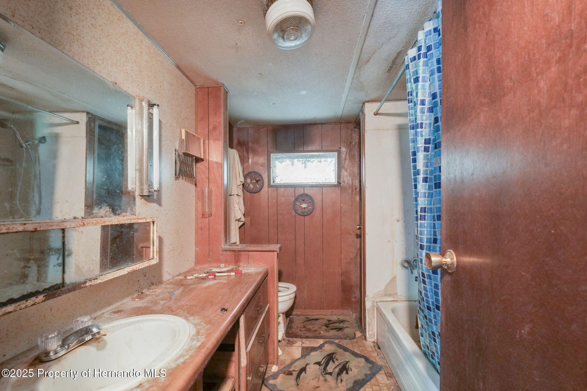 18399 Shady Side Drive, Brooksville, Florida image 13