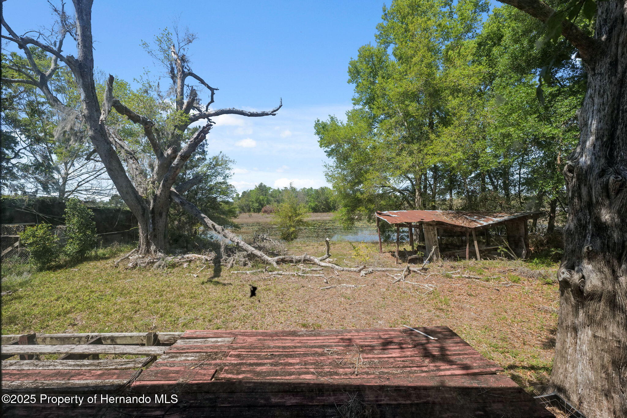 8293 Normandy Drive, Weeki Wachee, Florida image 4