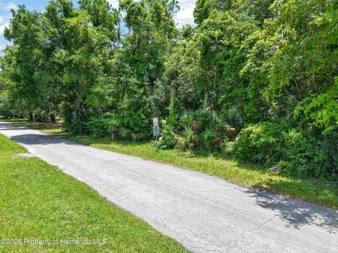 Vacant Land For Sale - Hwy 40<br/> Levy County, Inglis, FL 34449