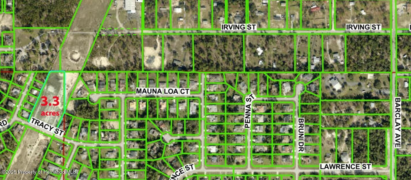 Tracy Street, Spring Hill, Florida image 2