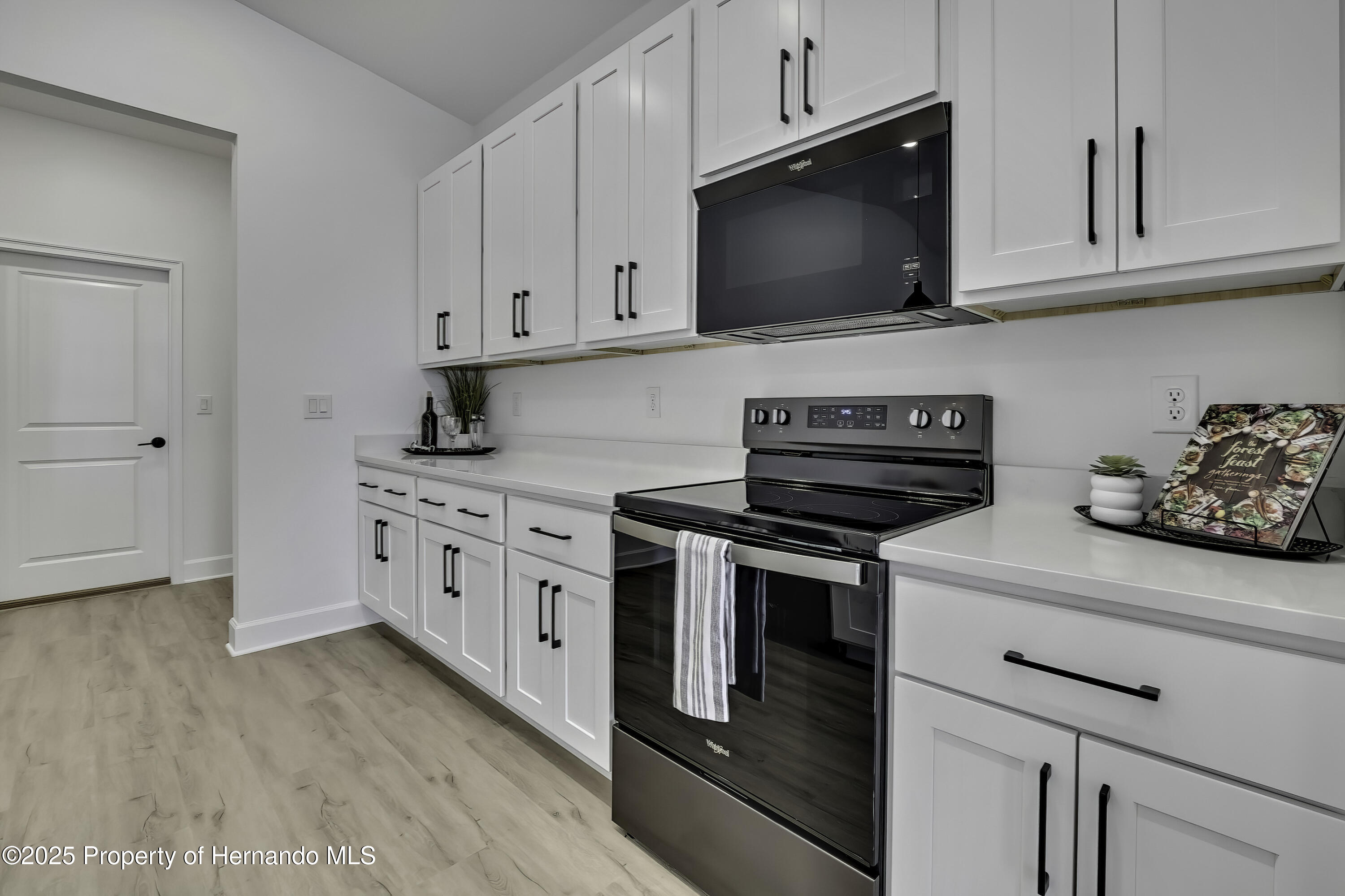 9739 Loretto Street, Spring Hill, Florida image 12