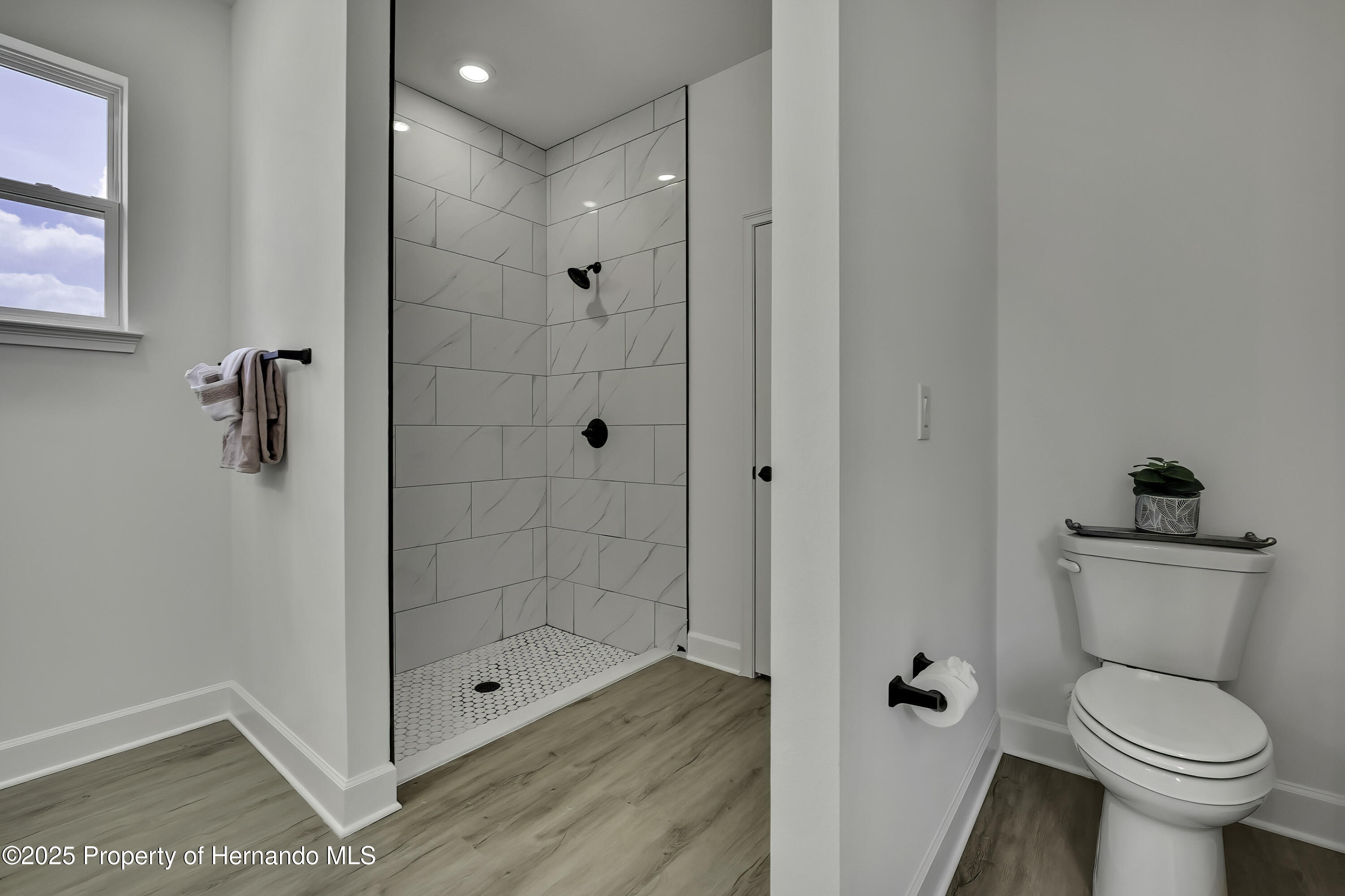 9739 Loretto Street, Spring Hill, Florida image 21