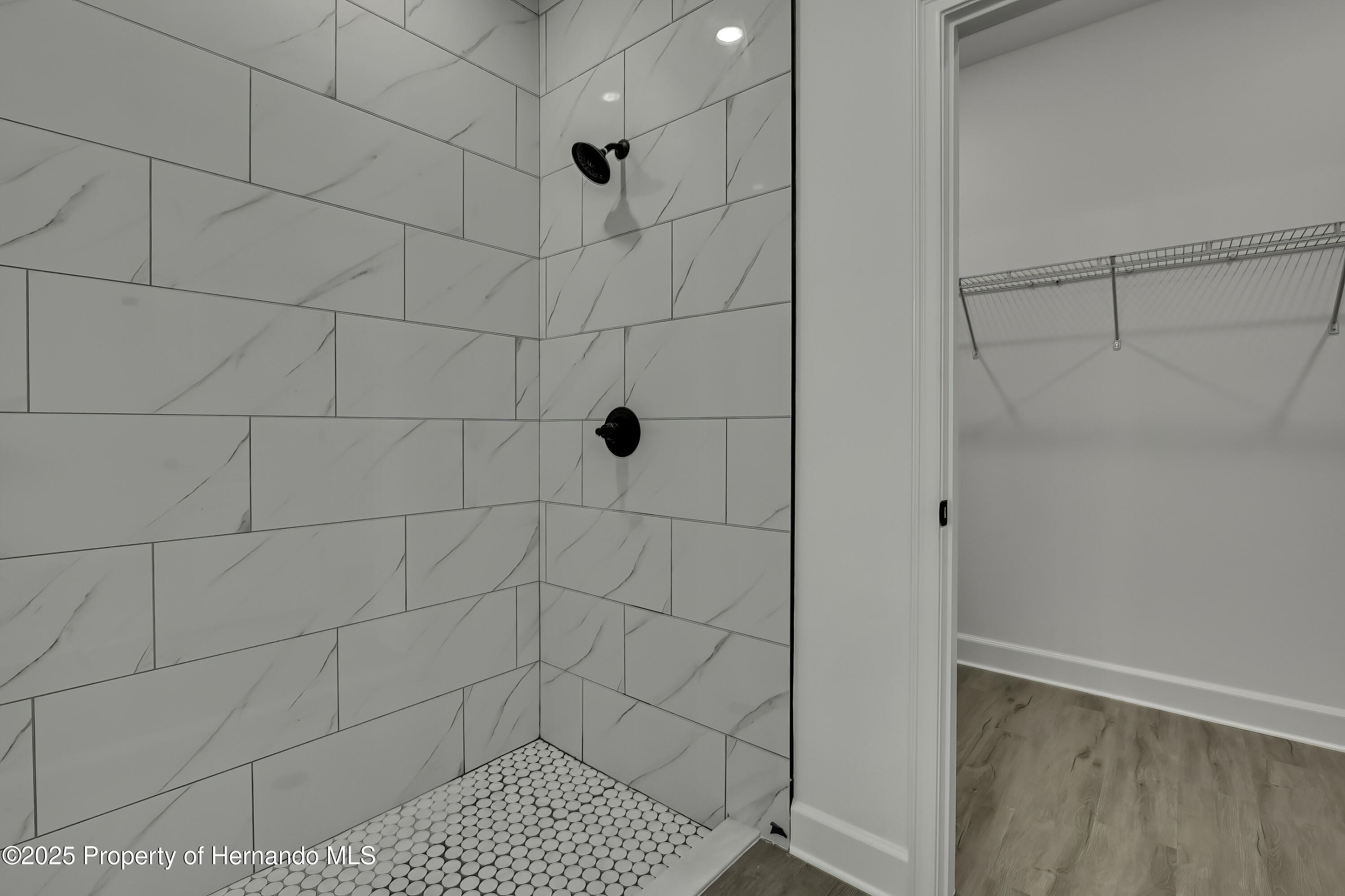 9739 Loretto Street, Spring Hill, Florida image 22