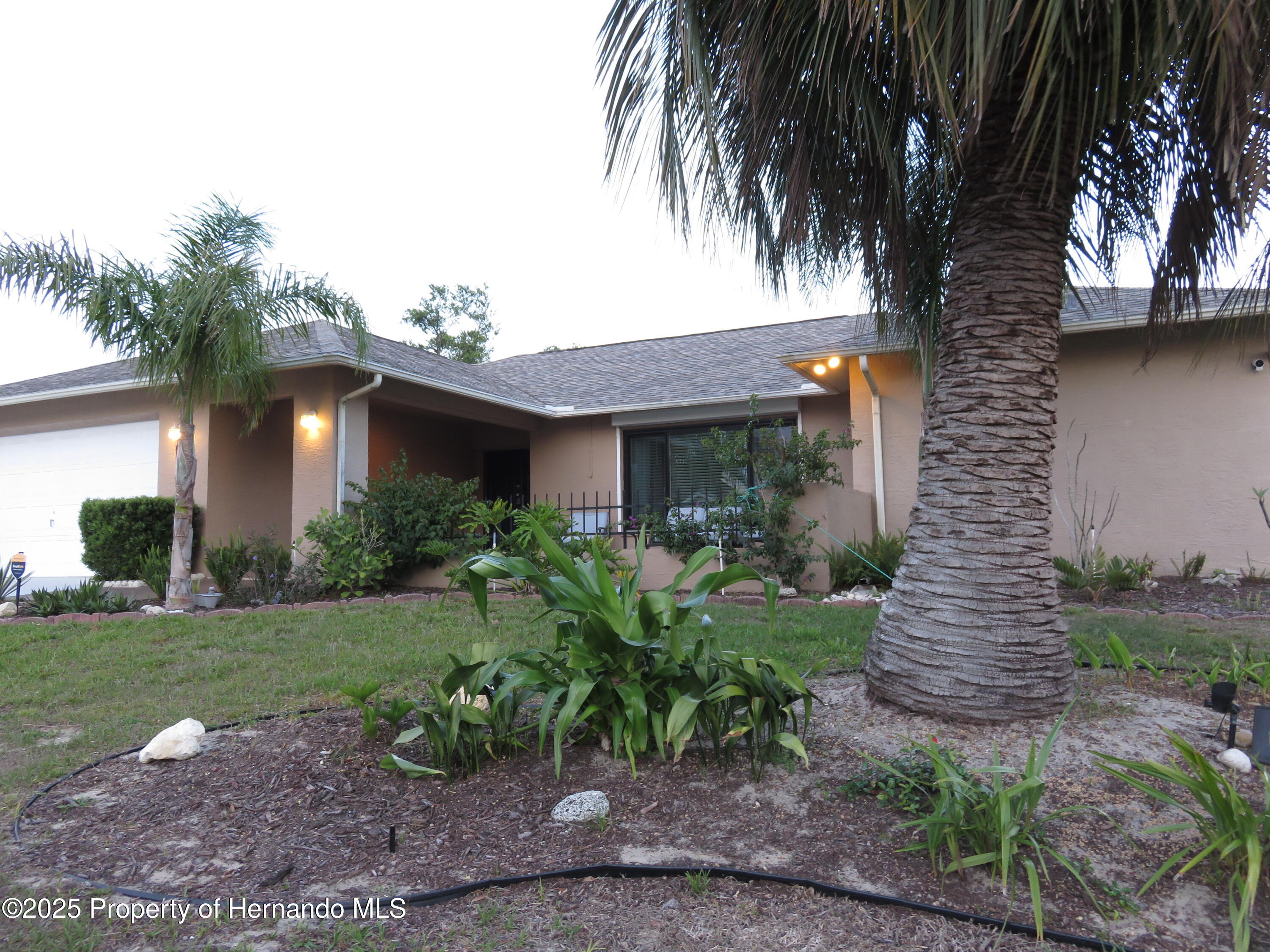 13100 Fish Cove Drive, Spring Hill, Florida image 5