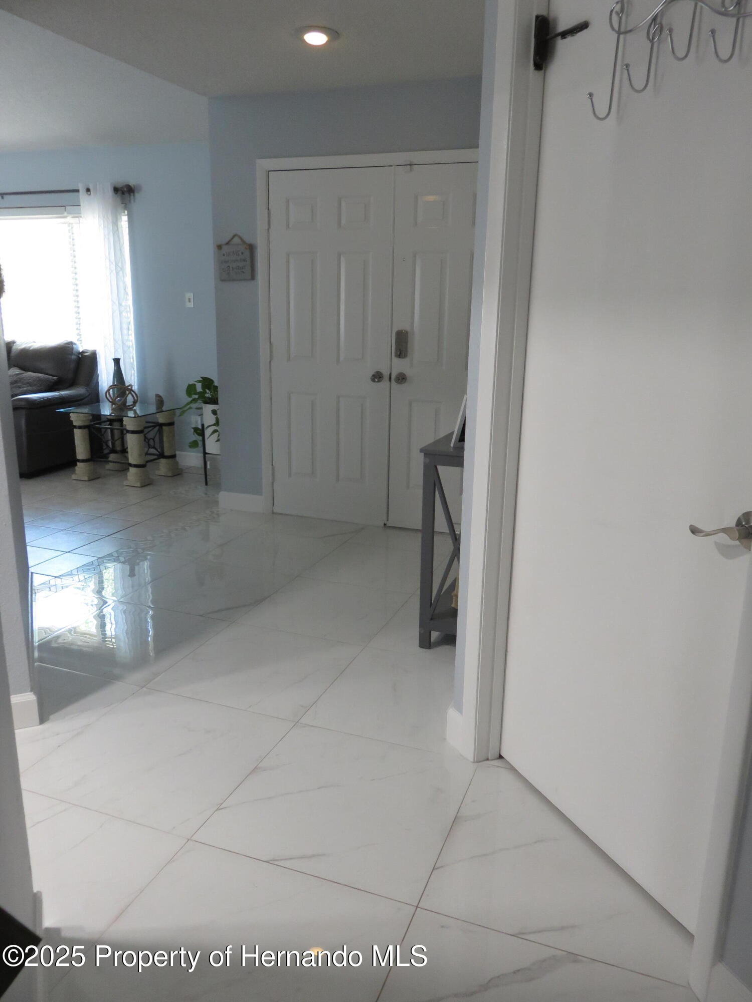 13100 Fish Cove Drive, Spring Hill, Florida image 16