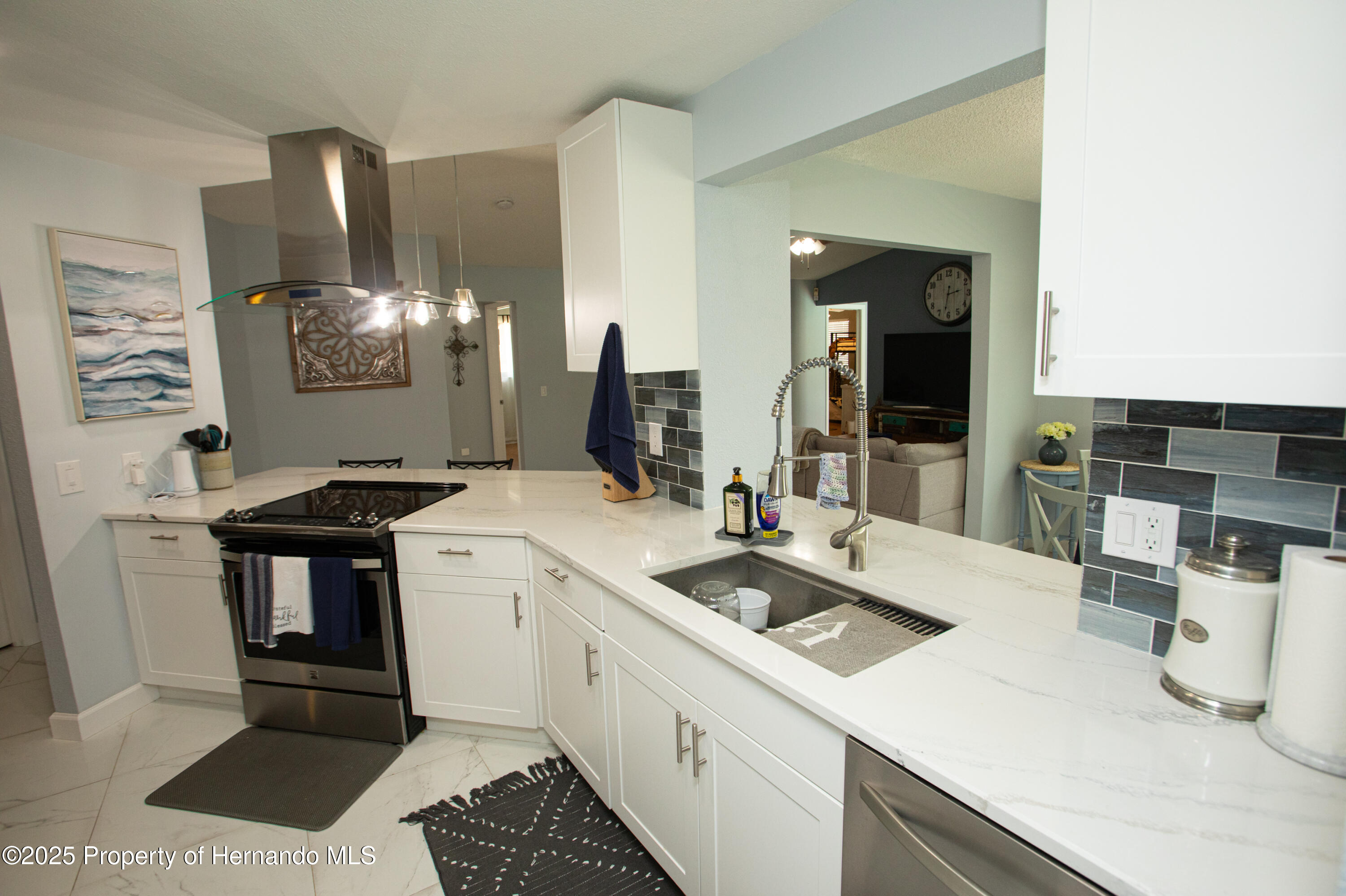 13100 Fish Cove Drive, Spring Hill, Florida image 23
