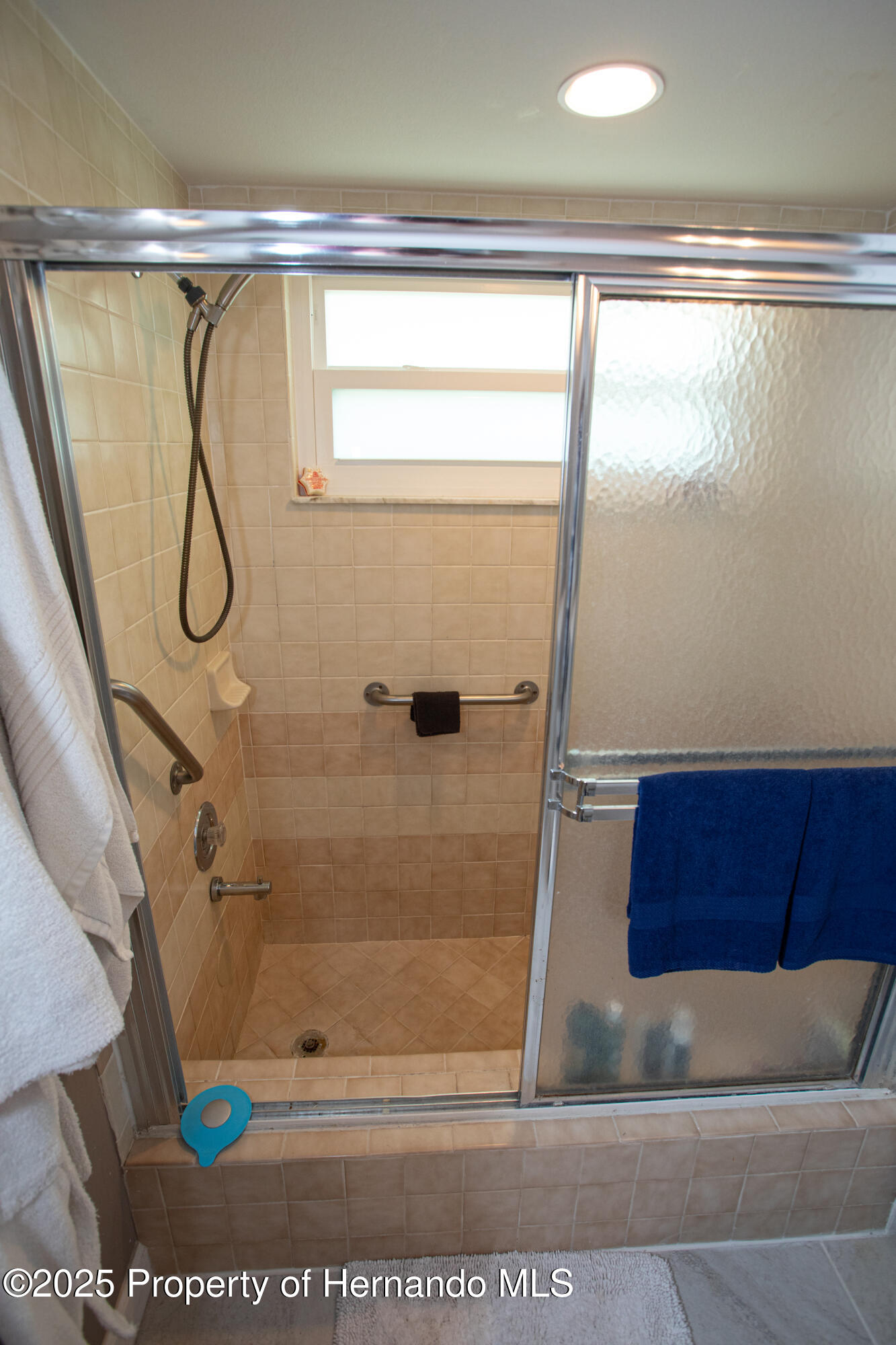 13100 Fish Cove Drive, Spring Hill, Florida image 39