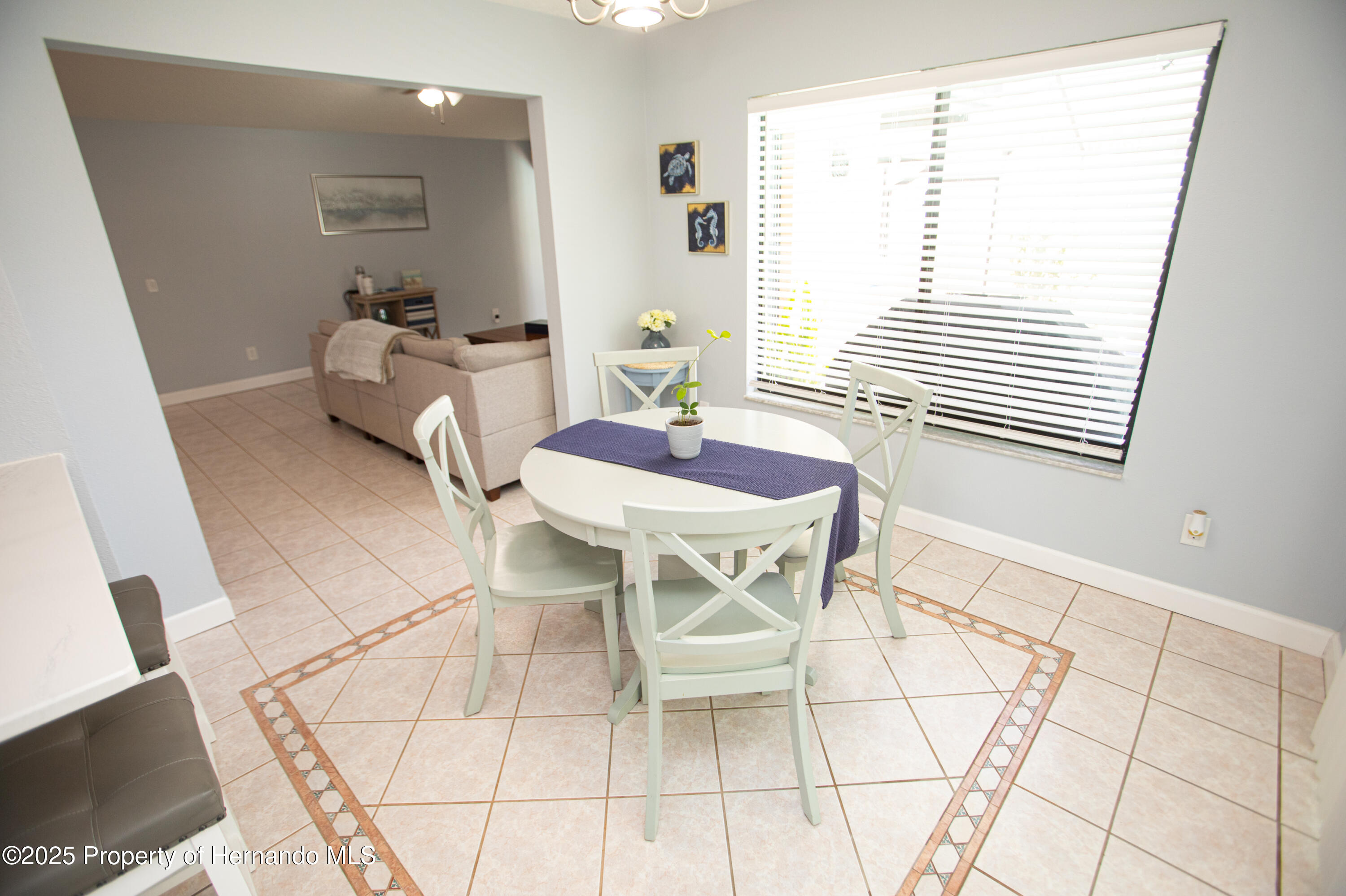 13100 Fish Cove Drive, Spring Hill, Florida image 17