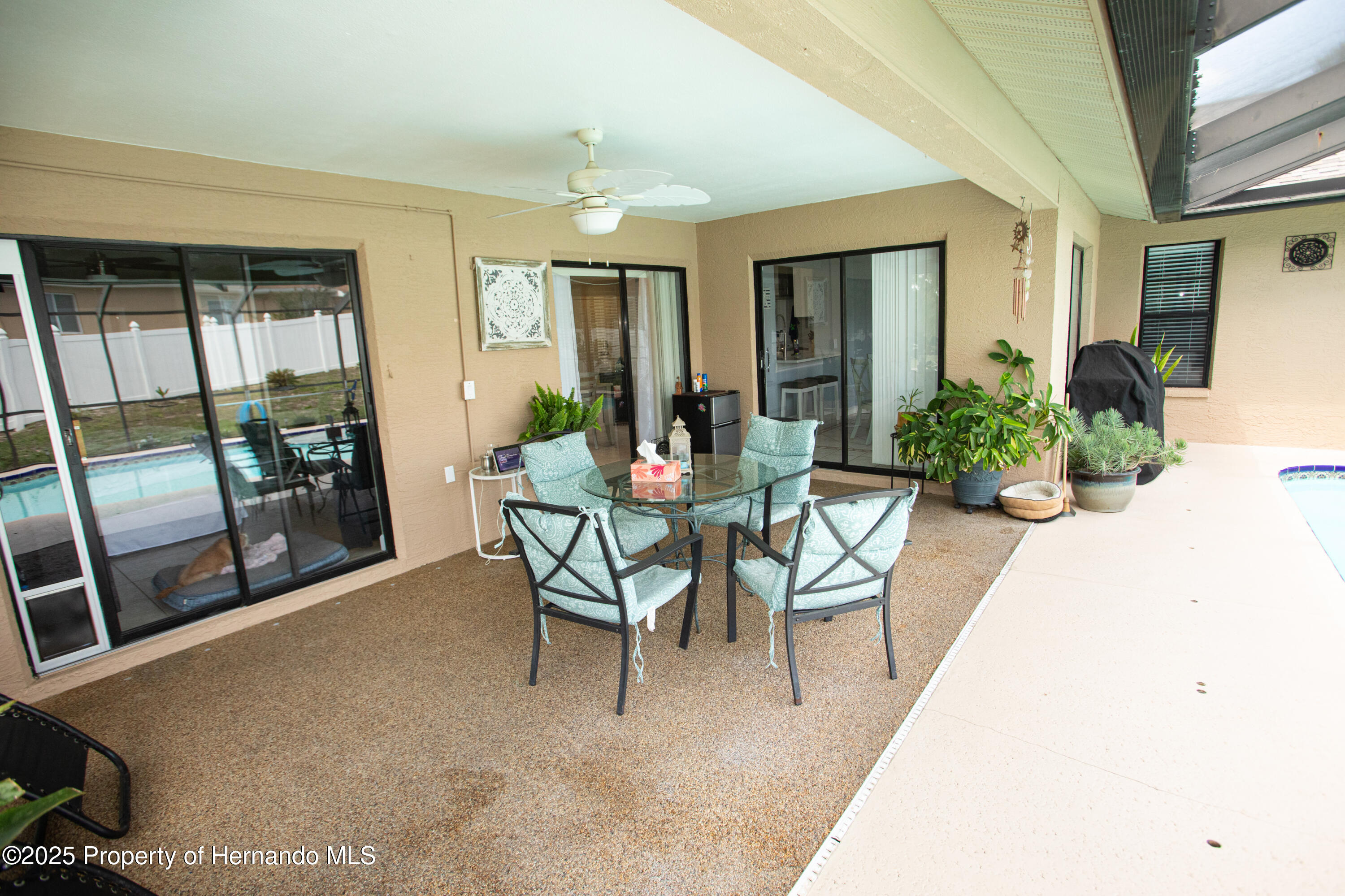 13100 Fish Cove Drive, Spring Hill, Florida image 11
