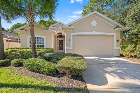 Homes For Sale - 10199 Holly Berry Drive<br/> Weeki Wachee, FL 34613