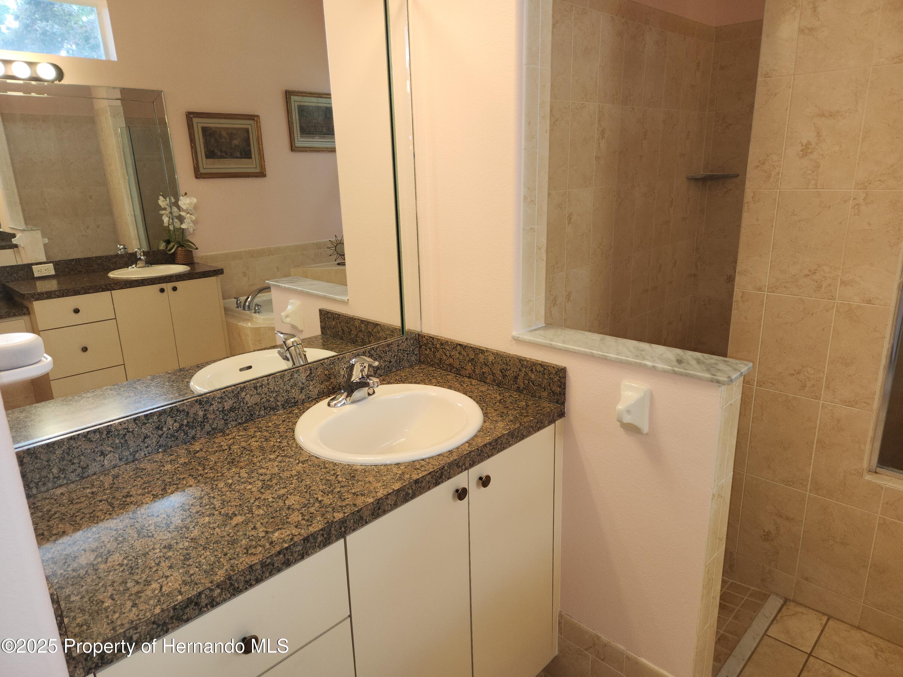 12270 Clarendon Court, Spring Hill, Florida image 17