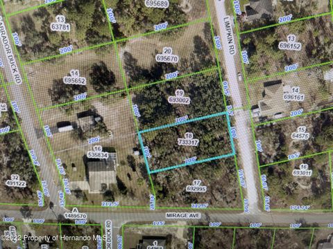 Vacant Land For Sale - Limpkin Road<br/> Weeki Wachee, FL 34614