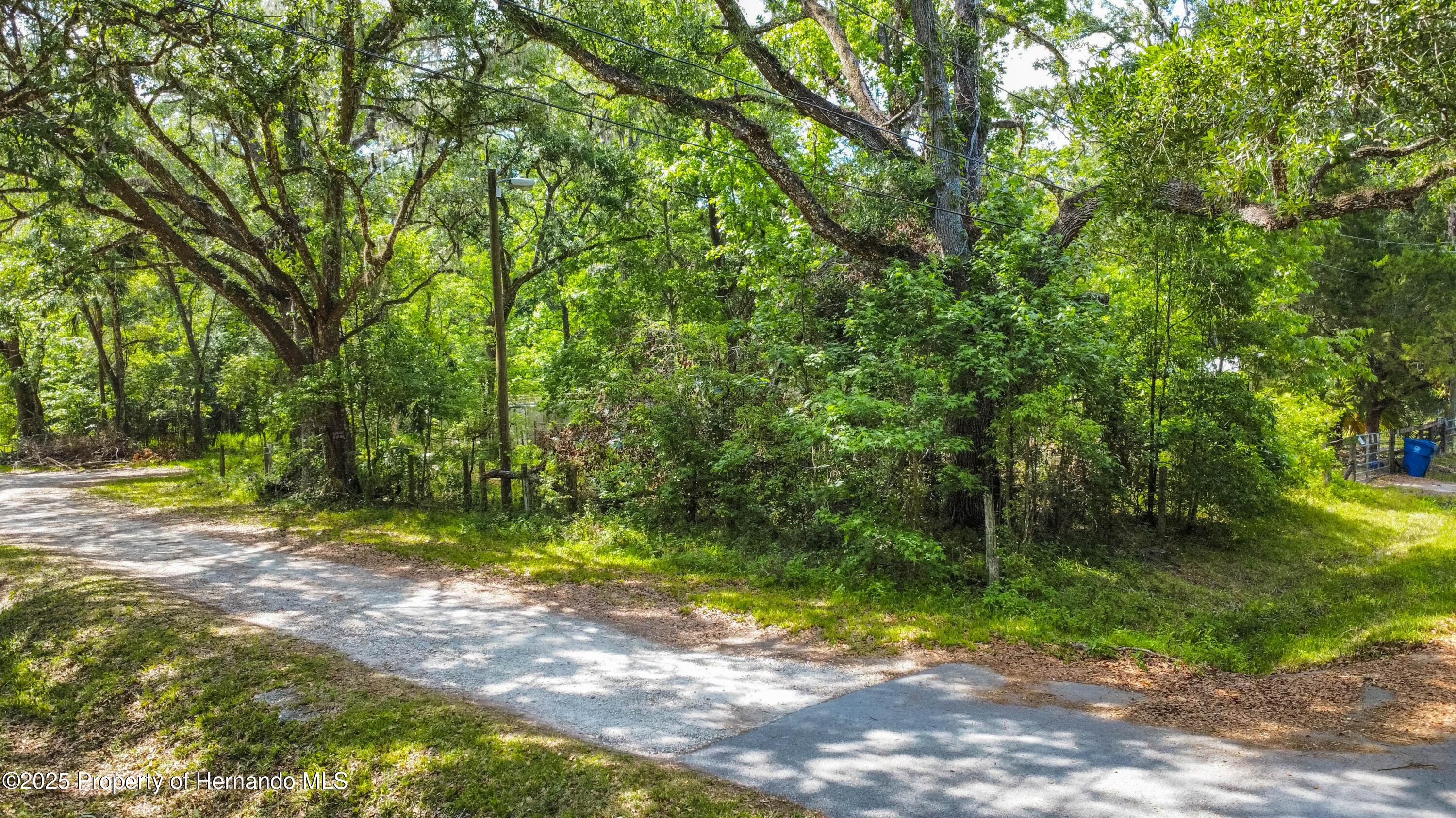 Edwards Avenue, Brooksville, Florida image 1
