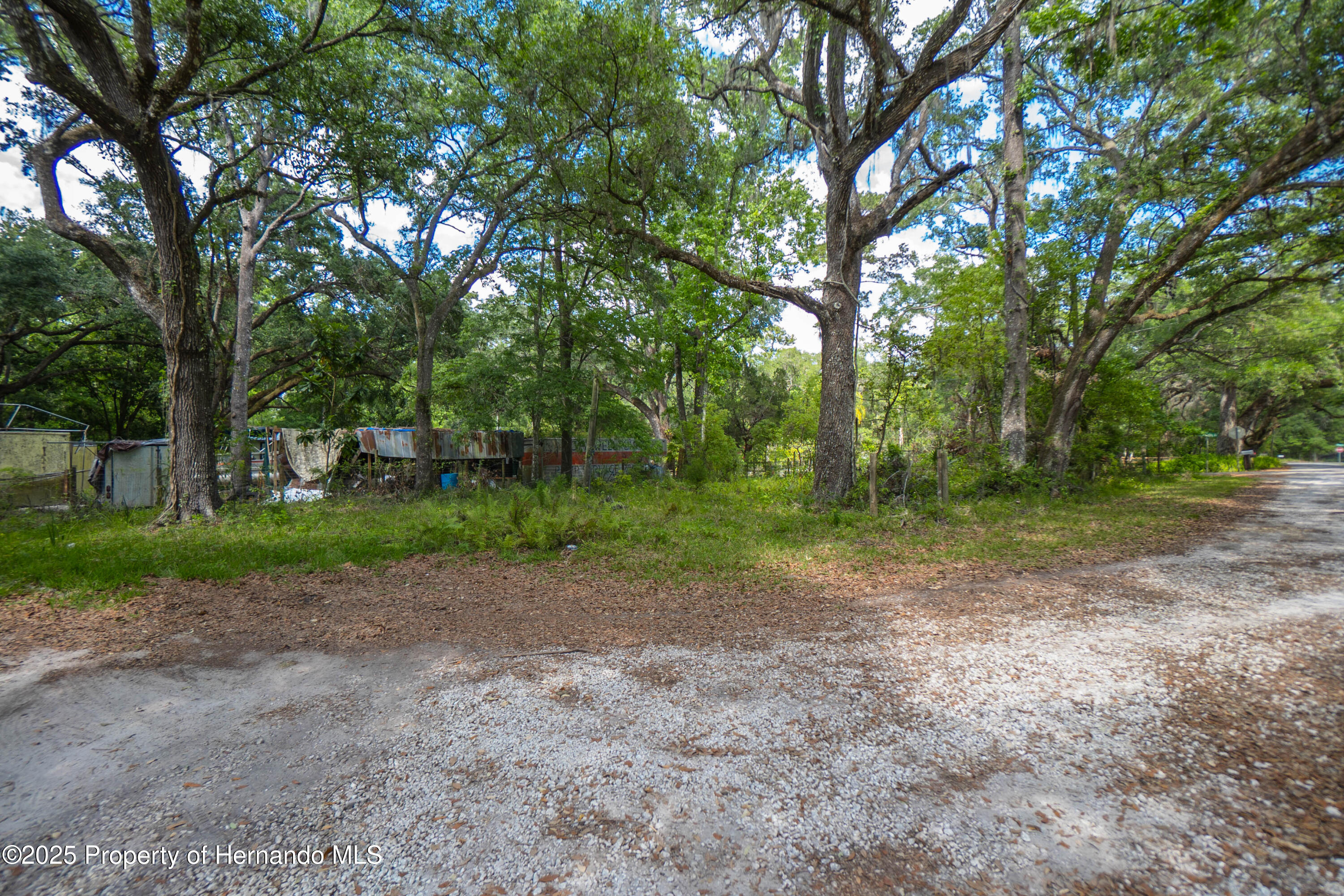 Edwards Avenue, Brooksville, Florida image 2