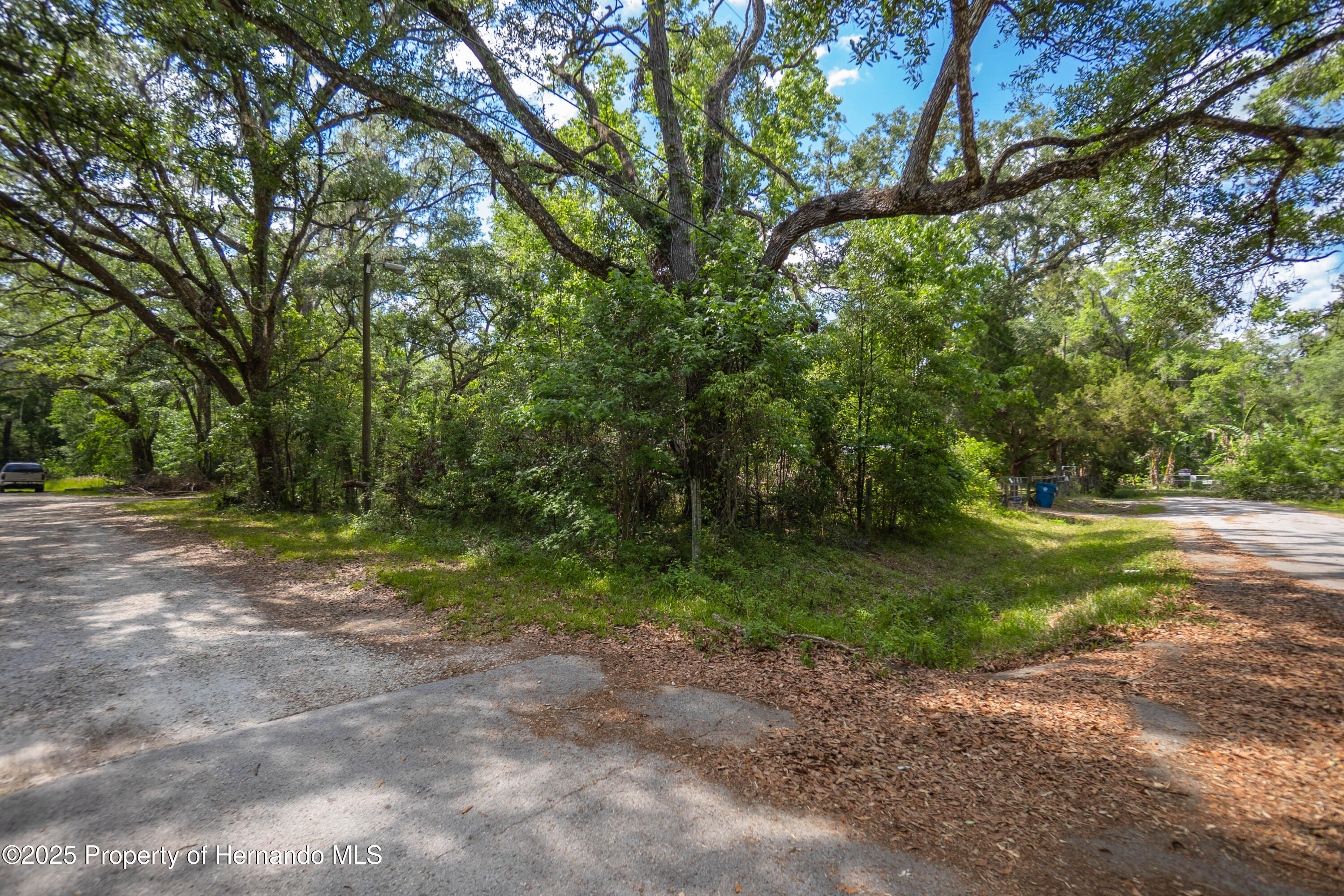 Edwards Avenue, Brooksville, Florida image 4