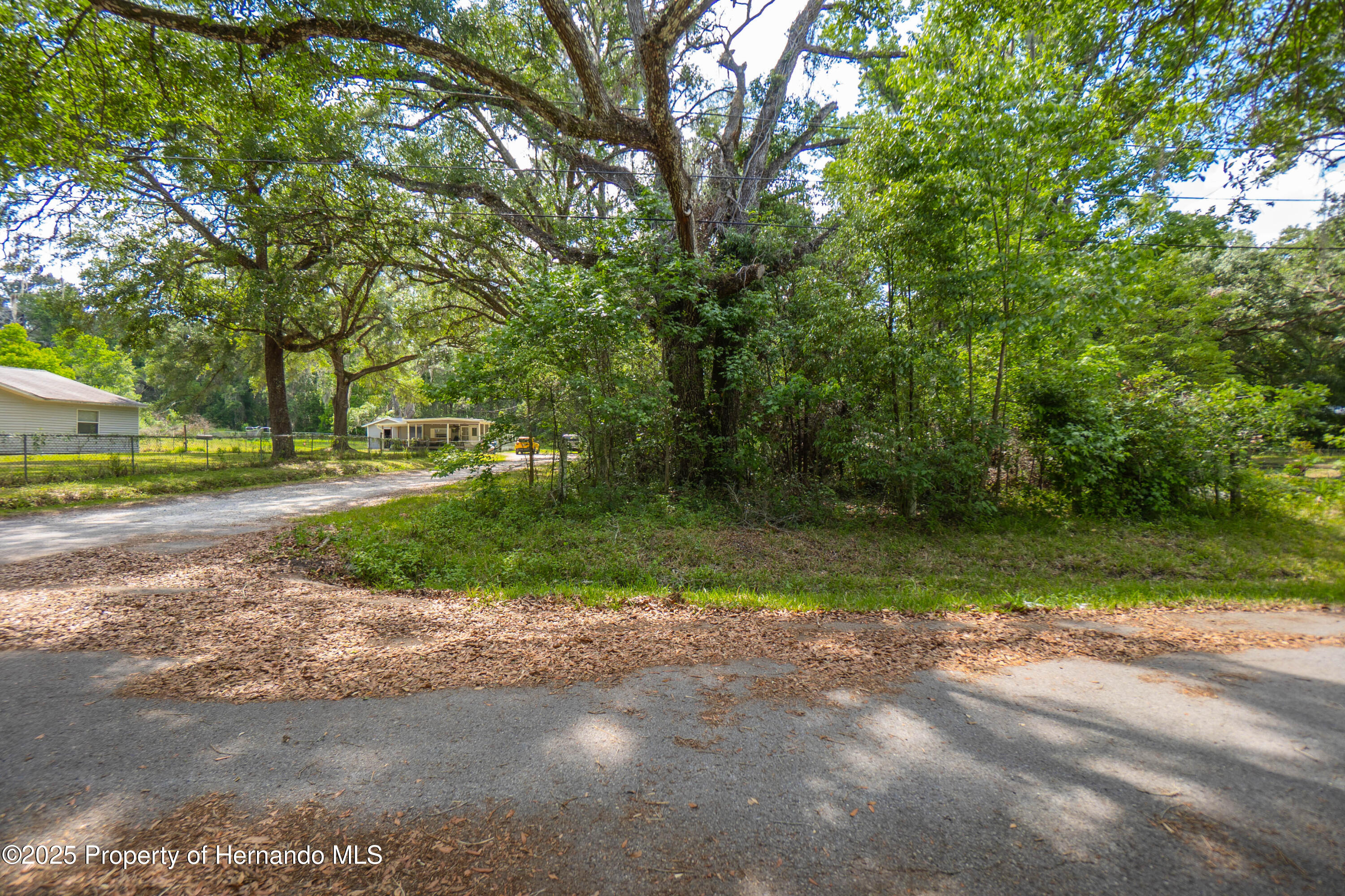 Edwards Avenue, Brooksville, Florida image 3