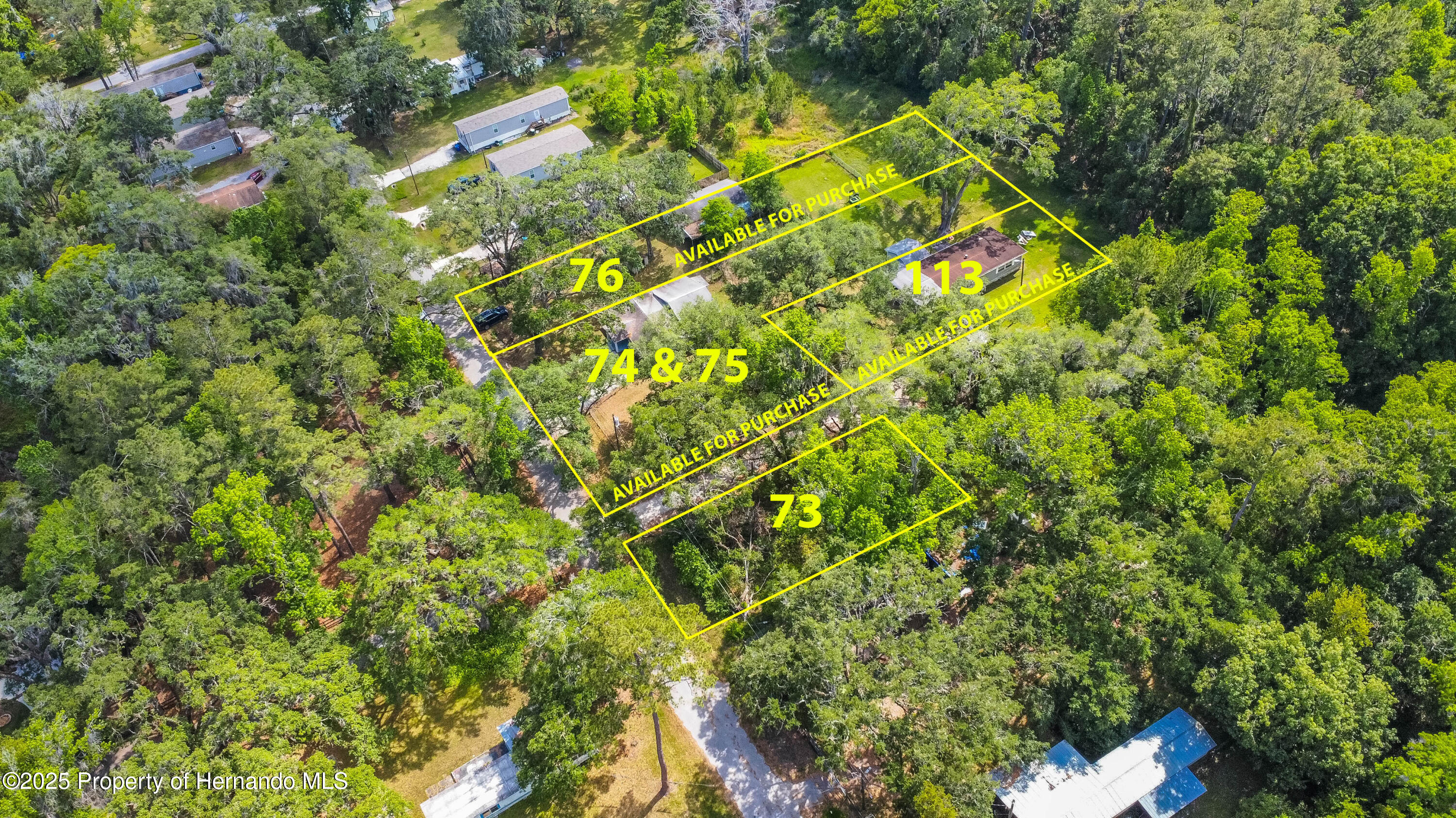Edwards Avenue, Brooksville, Florida image 6