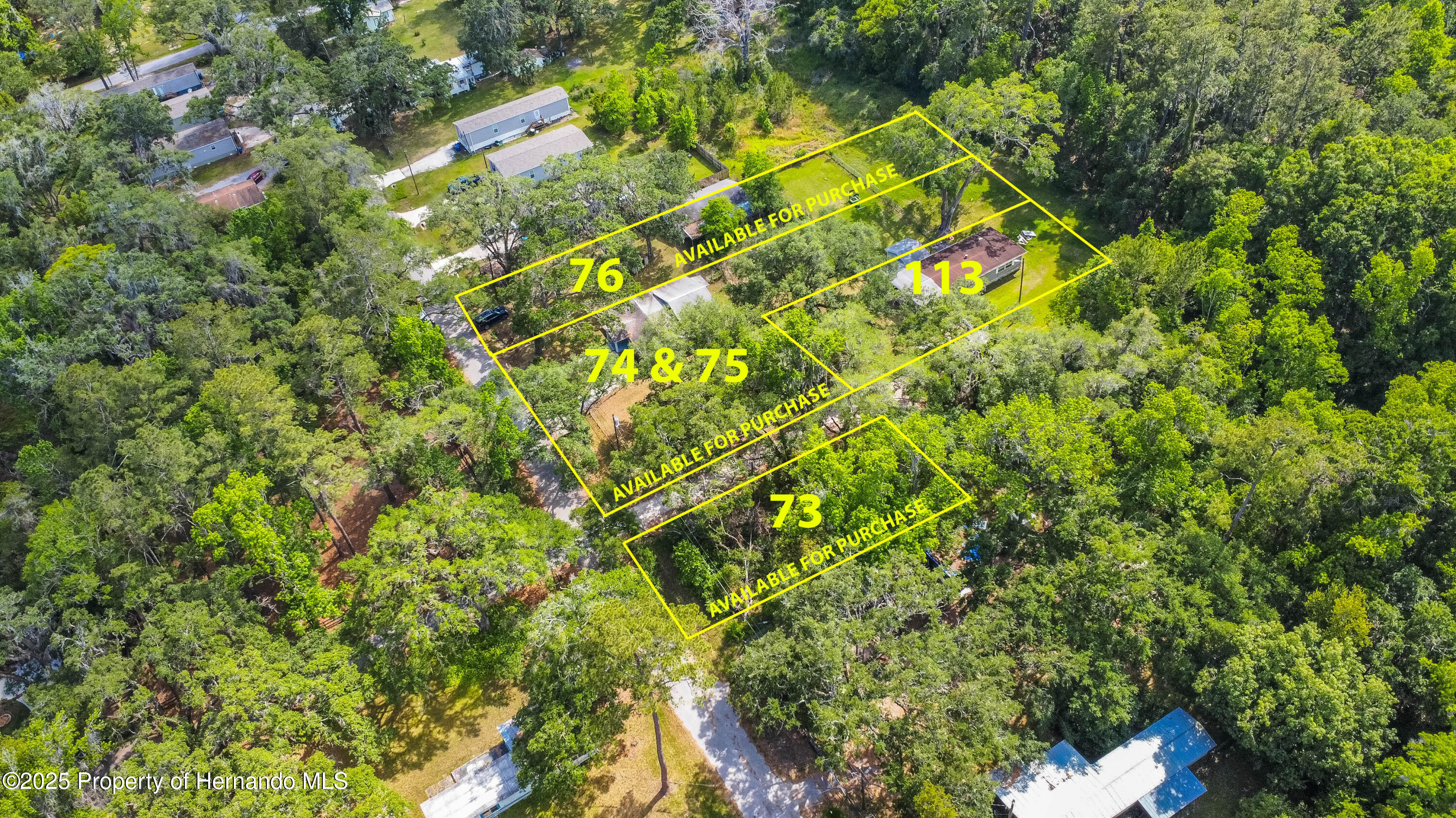 Edwards Avenue, Brooksville, Florida image 5