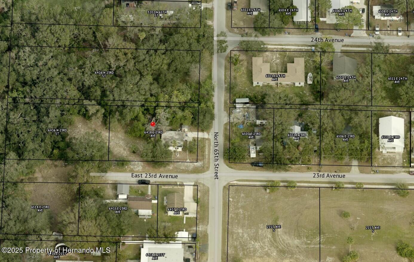 6418 E 23rd Avenue, Tampa, Florida image 5