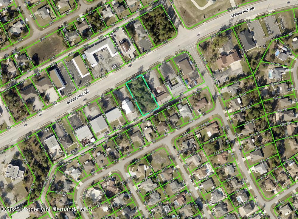 13182 Spring Hill Drive, Spring Hill, Florida image 7
