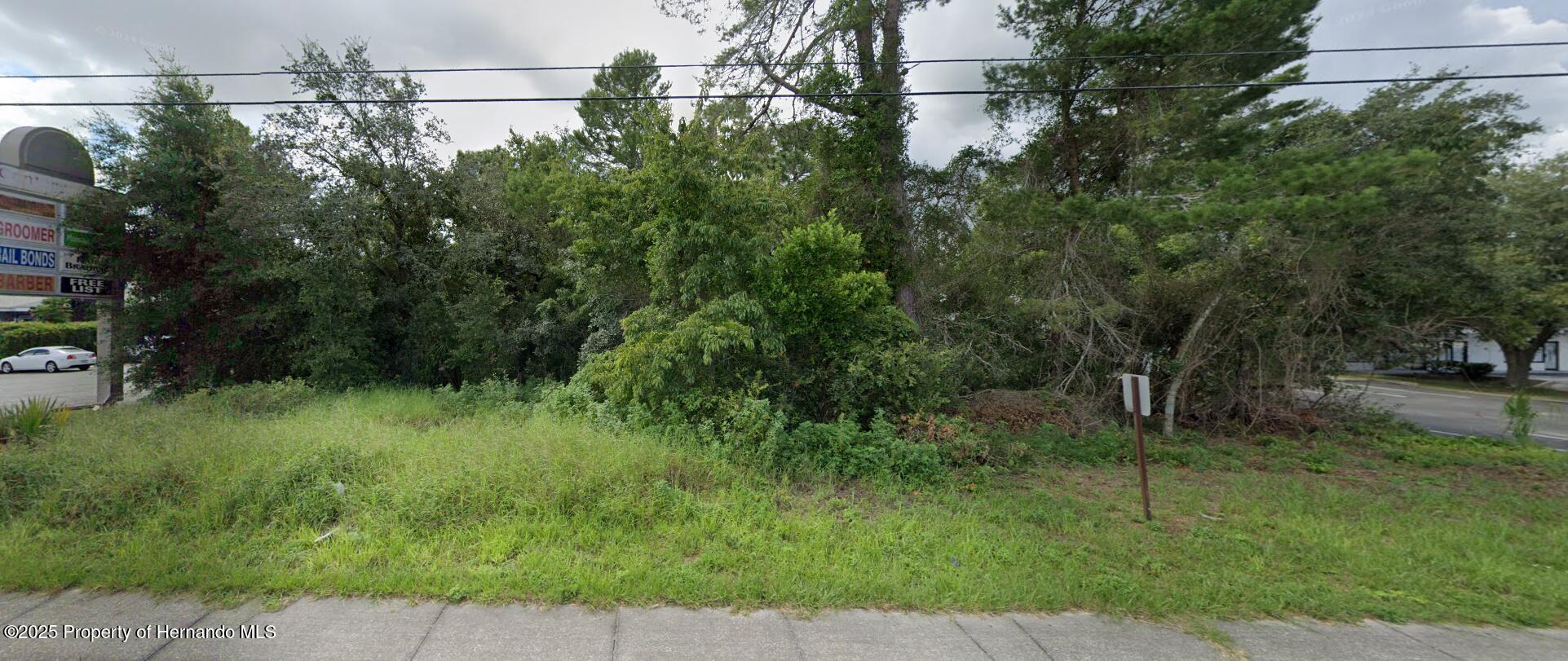 13182 Spring Hill Drive, Spring Hill, Florida image 18