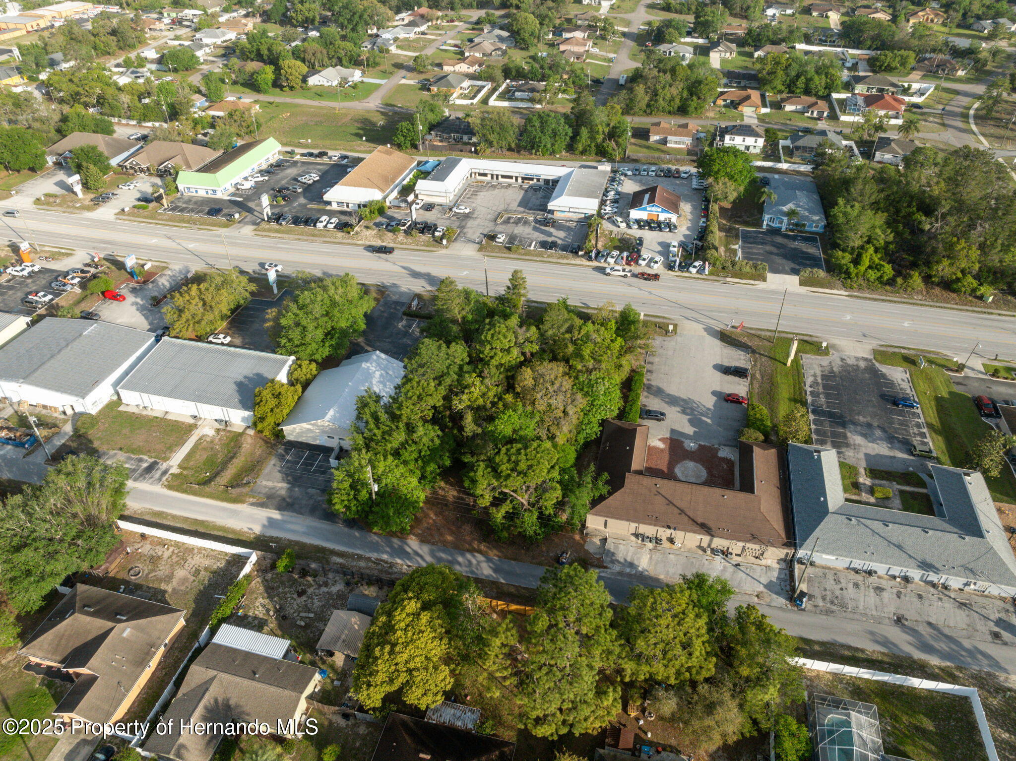 13182 Spring Hill Drive, Spring Hill, Florida image 11