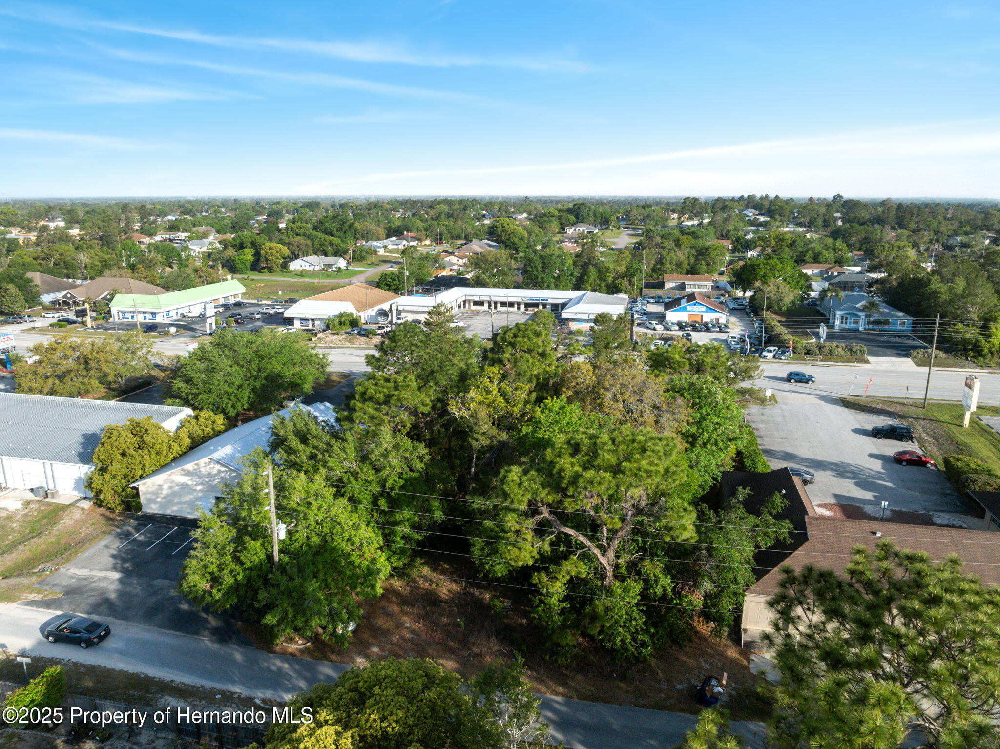13182 Spring Hill Drive, Spring Hill, Florida image 12