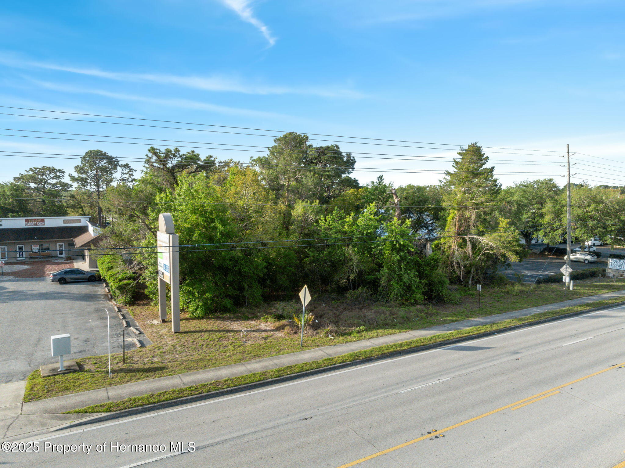 13182 Spring Hill Drive, Spring Hill, Florida image 1